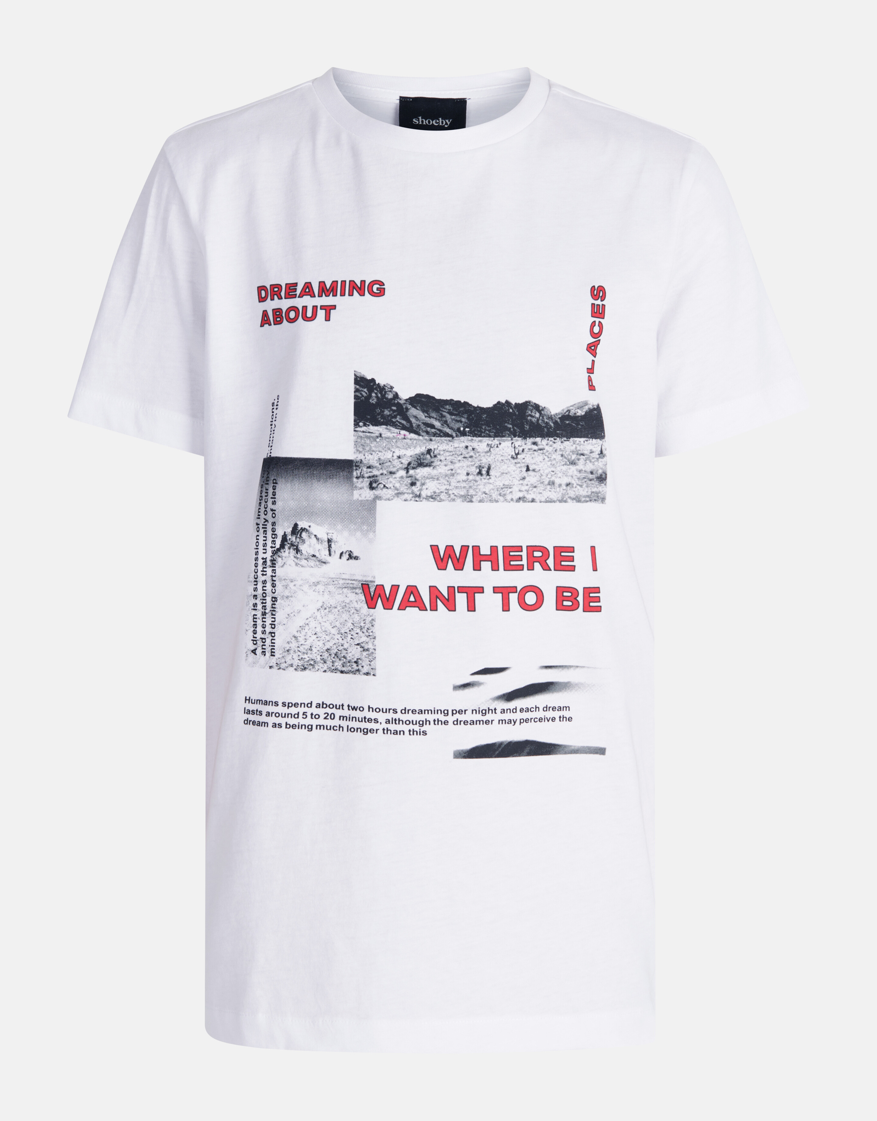 Artwork T-shirt Wit SHOEBY BOYS