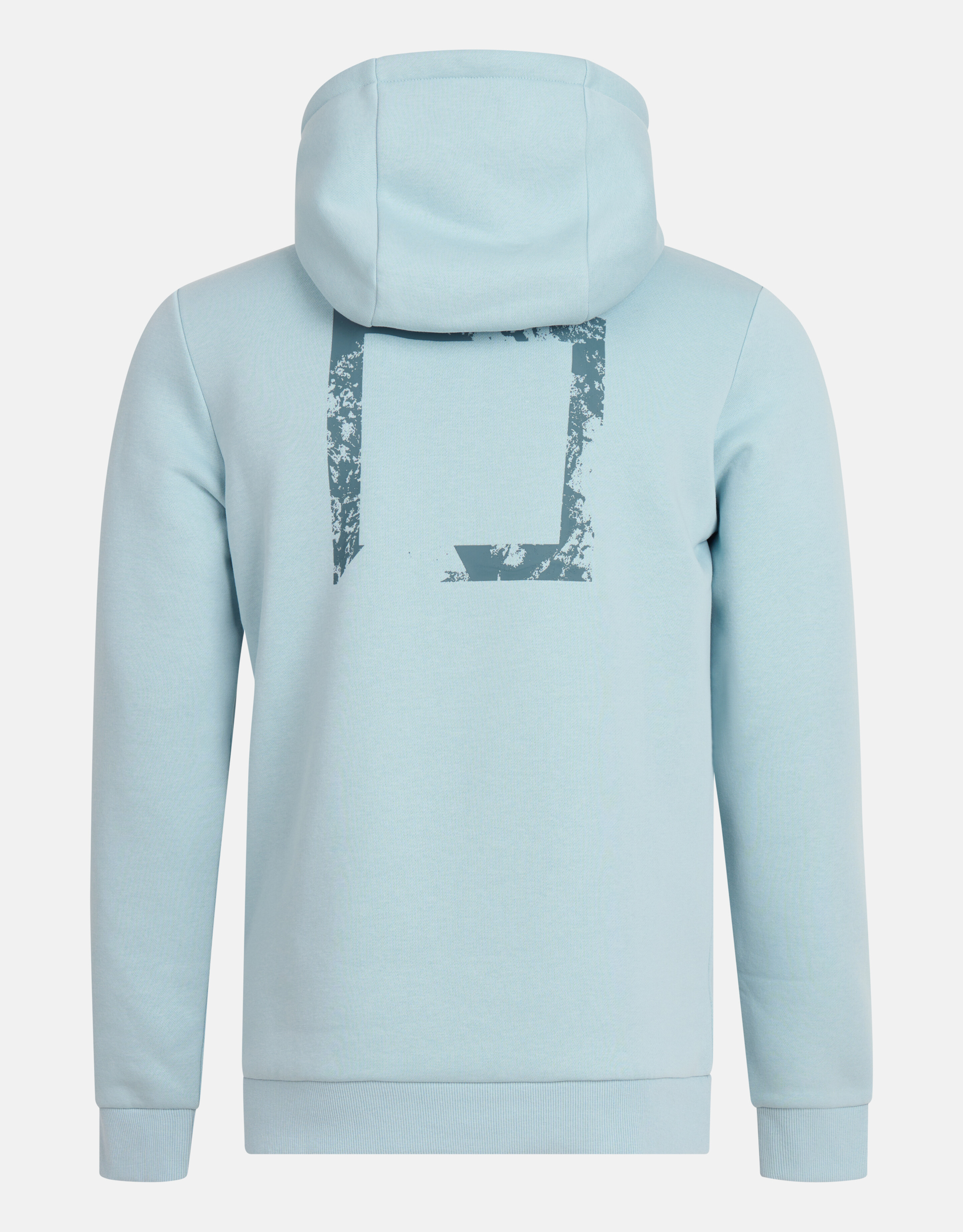 Grafische Hoodie Lichtblauw SHOEBY MEN