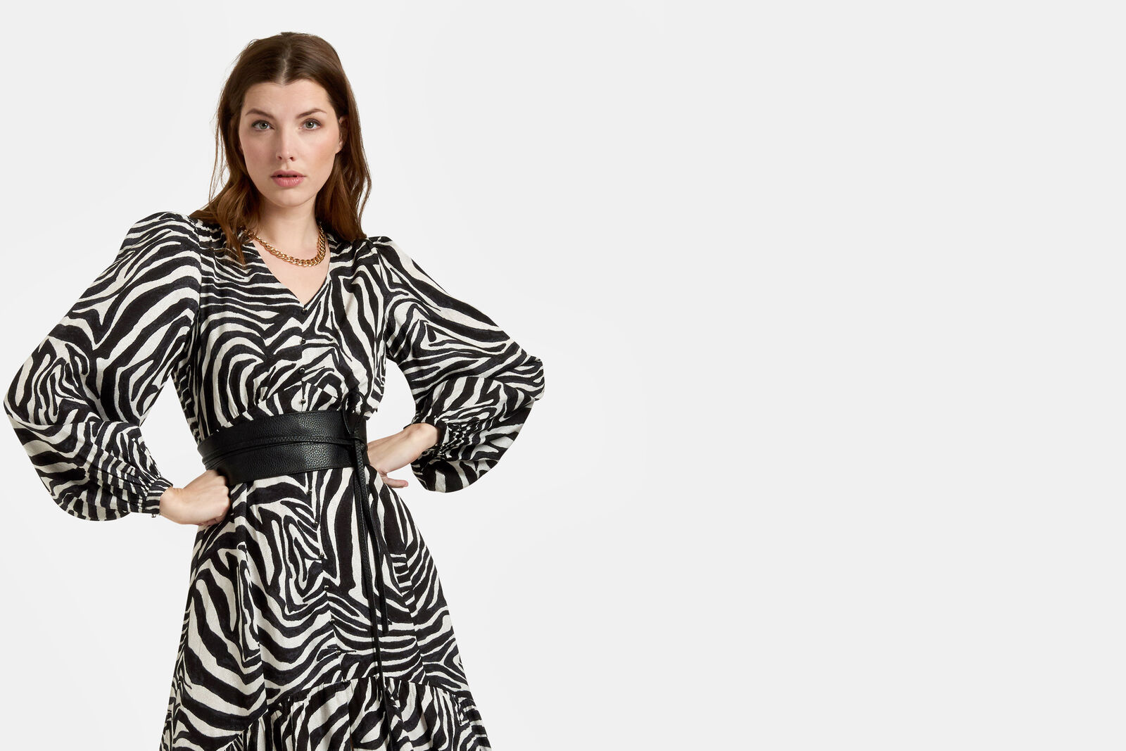 Pippa Zebra Jurk
