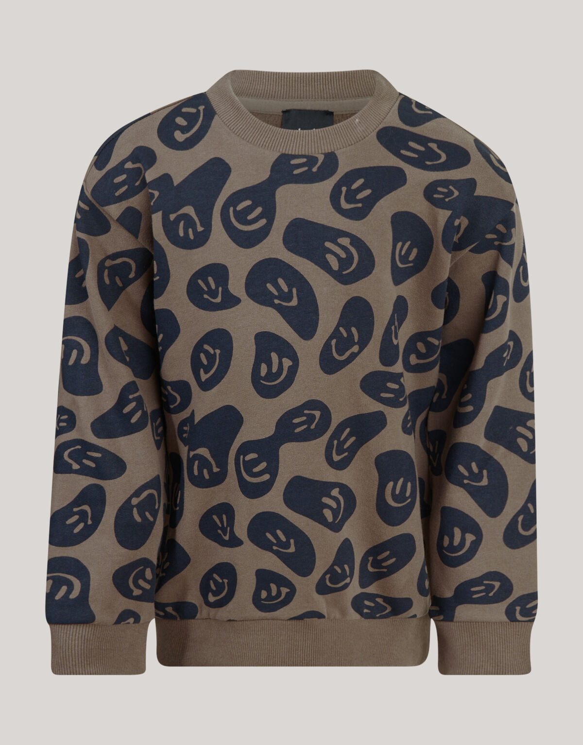 Printed Sweater Bruin SHOEBY BOYS