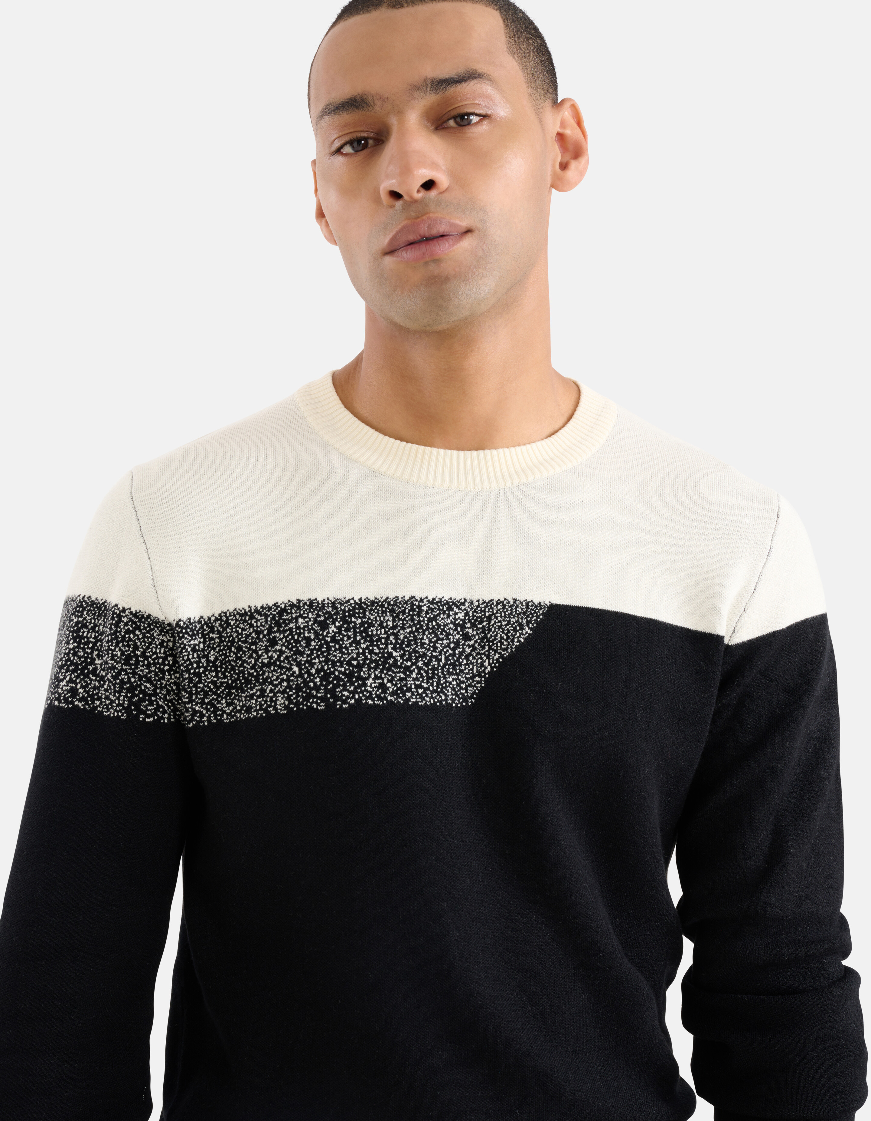 Colorblock Trui Zwart SHOEBY MEN