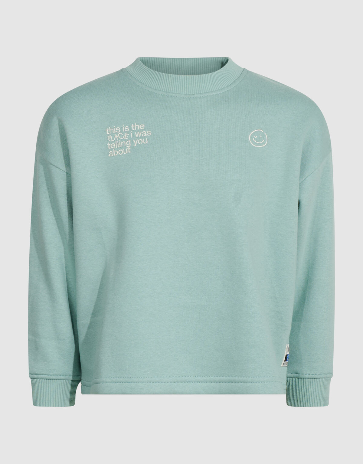 Oversized Artwork Sweater Lichtgroen SHOEBY BOYS