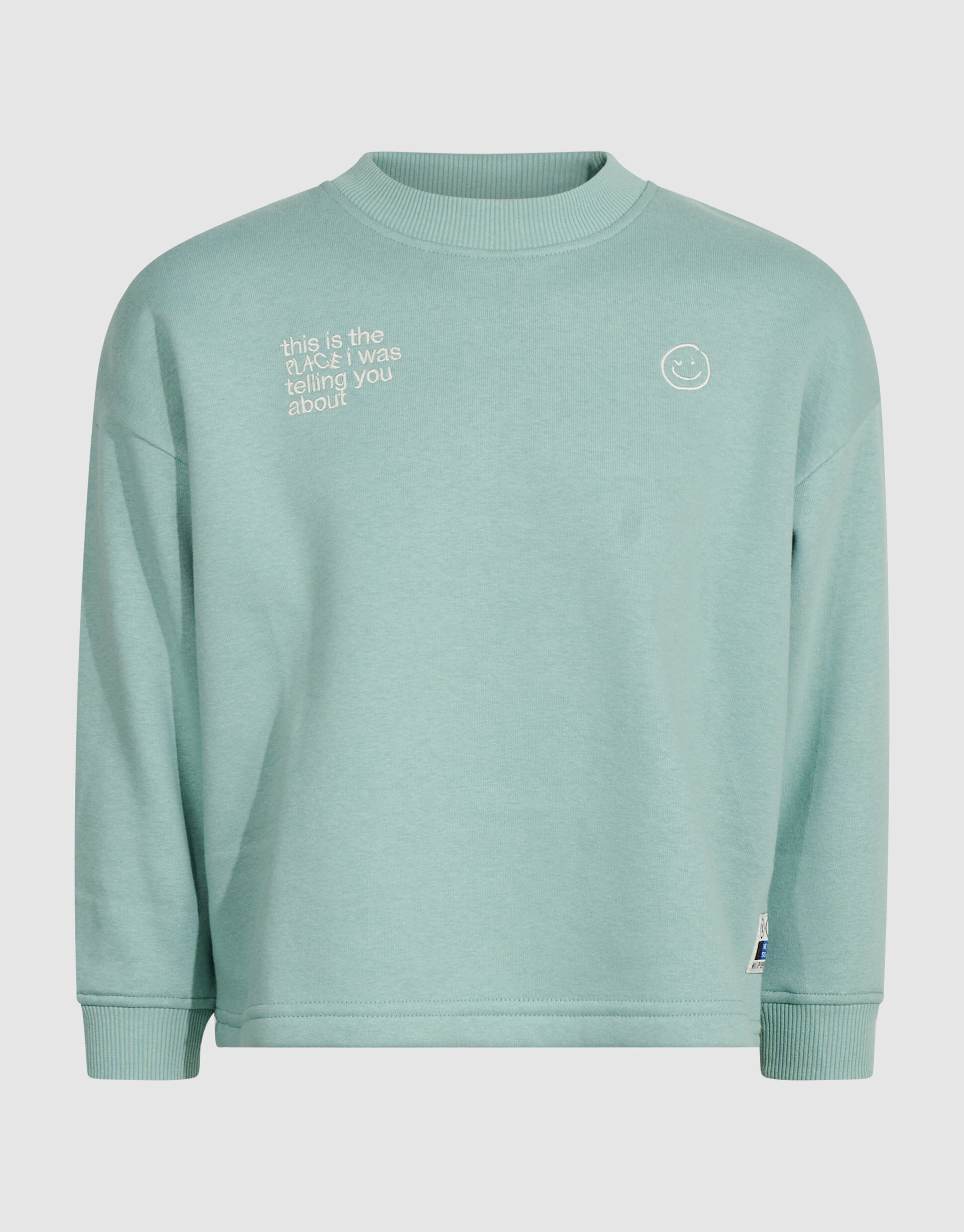Oversized Artwork Sweater Lichtgroen SHOEBY BOYS