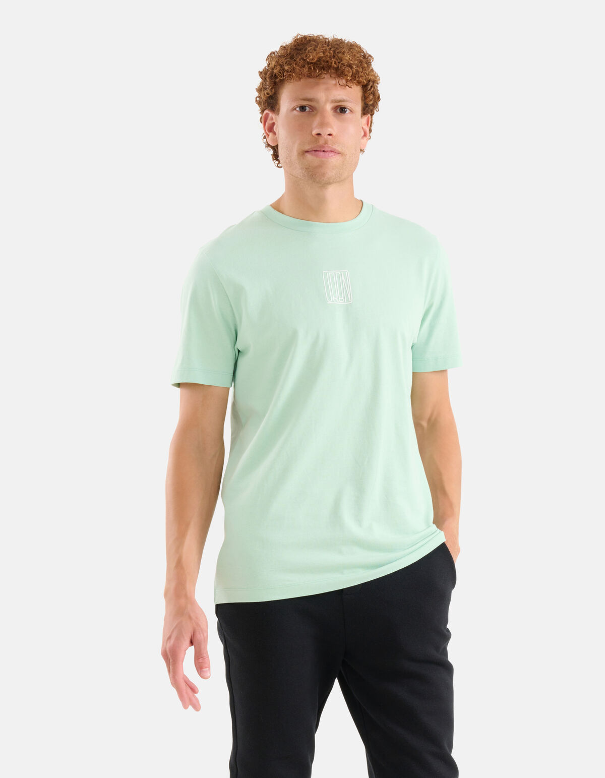 Artwork T-shirt Lichtgroen SHOEBY MEN