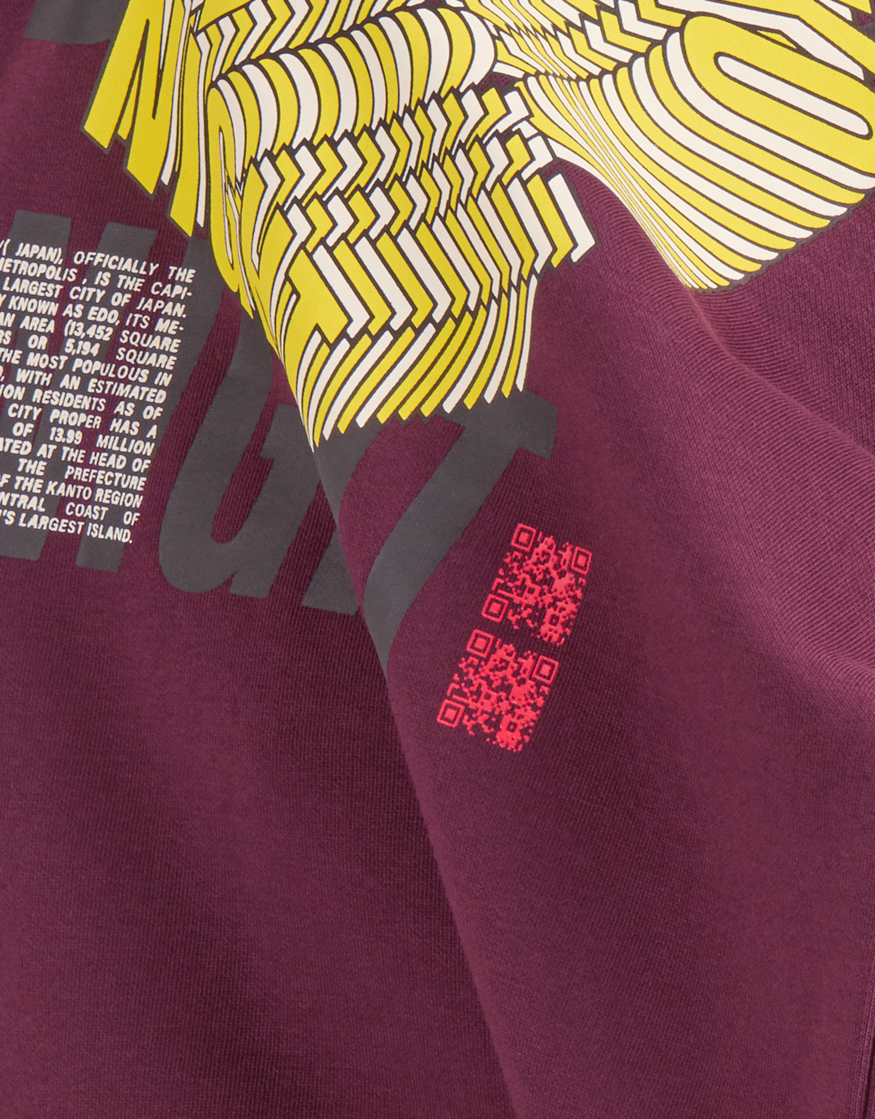 Artwork Sweater Bordeaux SHOEBY BOYS