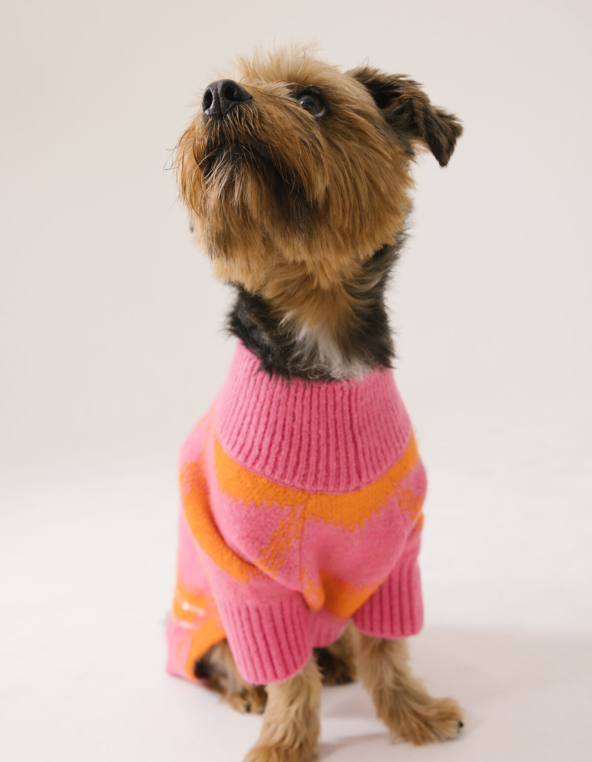 Sequin Honden Trui Roze SHOEBY ACCESSOIRES