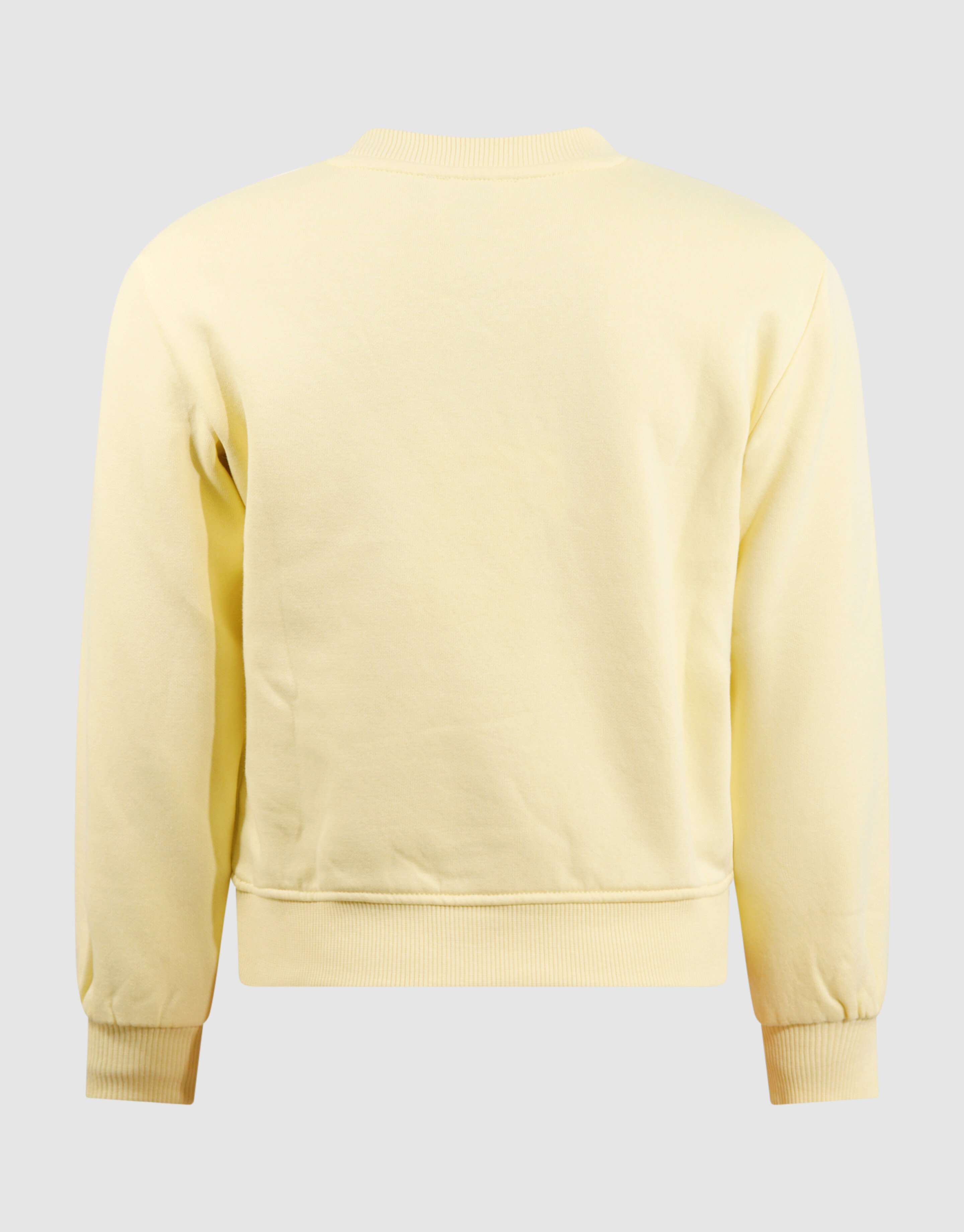 Bloem Artwork Sweater Lichtgeel SHOEBY GIRLS