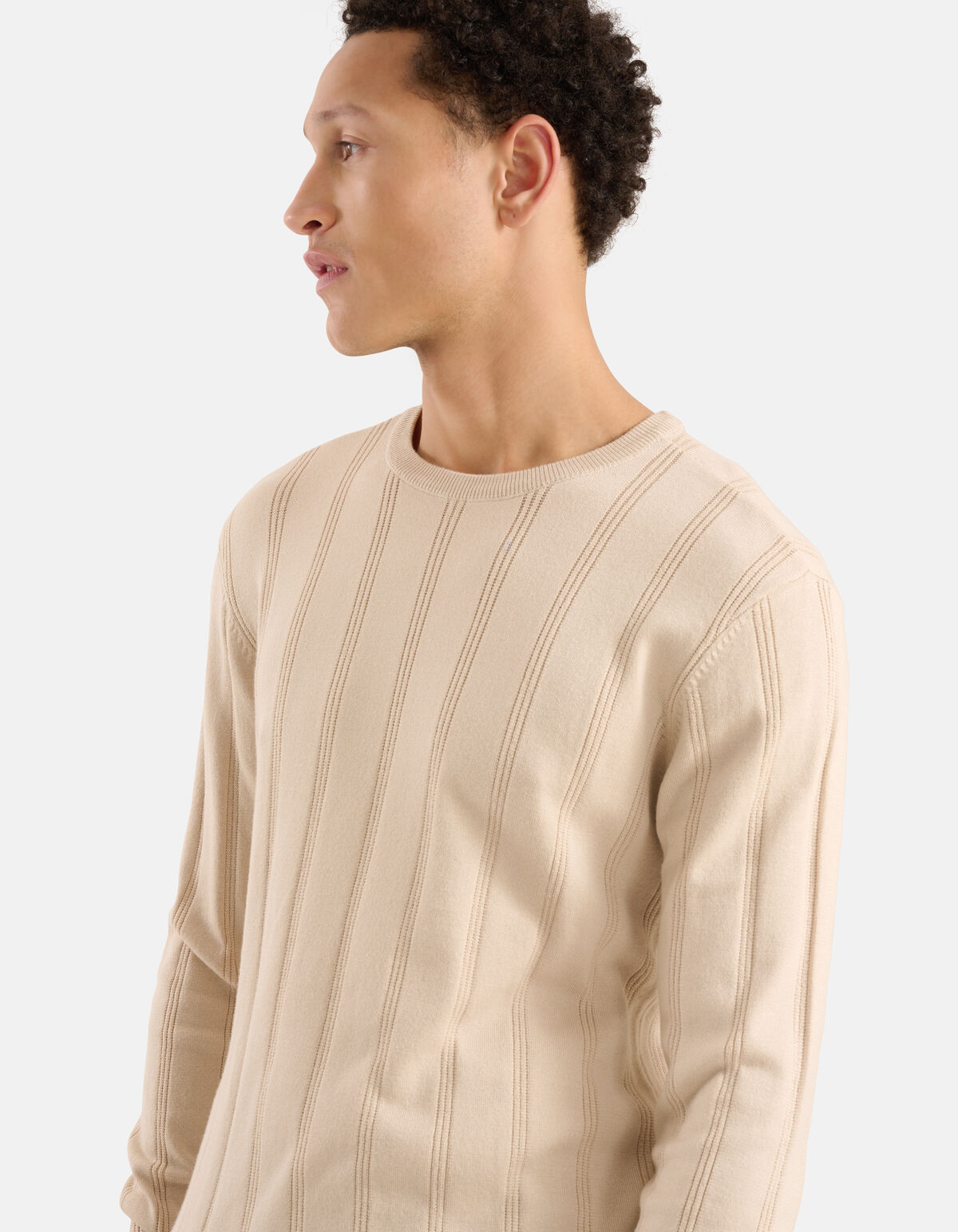 Gestreepte Crewneck Trui Beige SHOEBY MEN