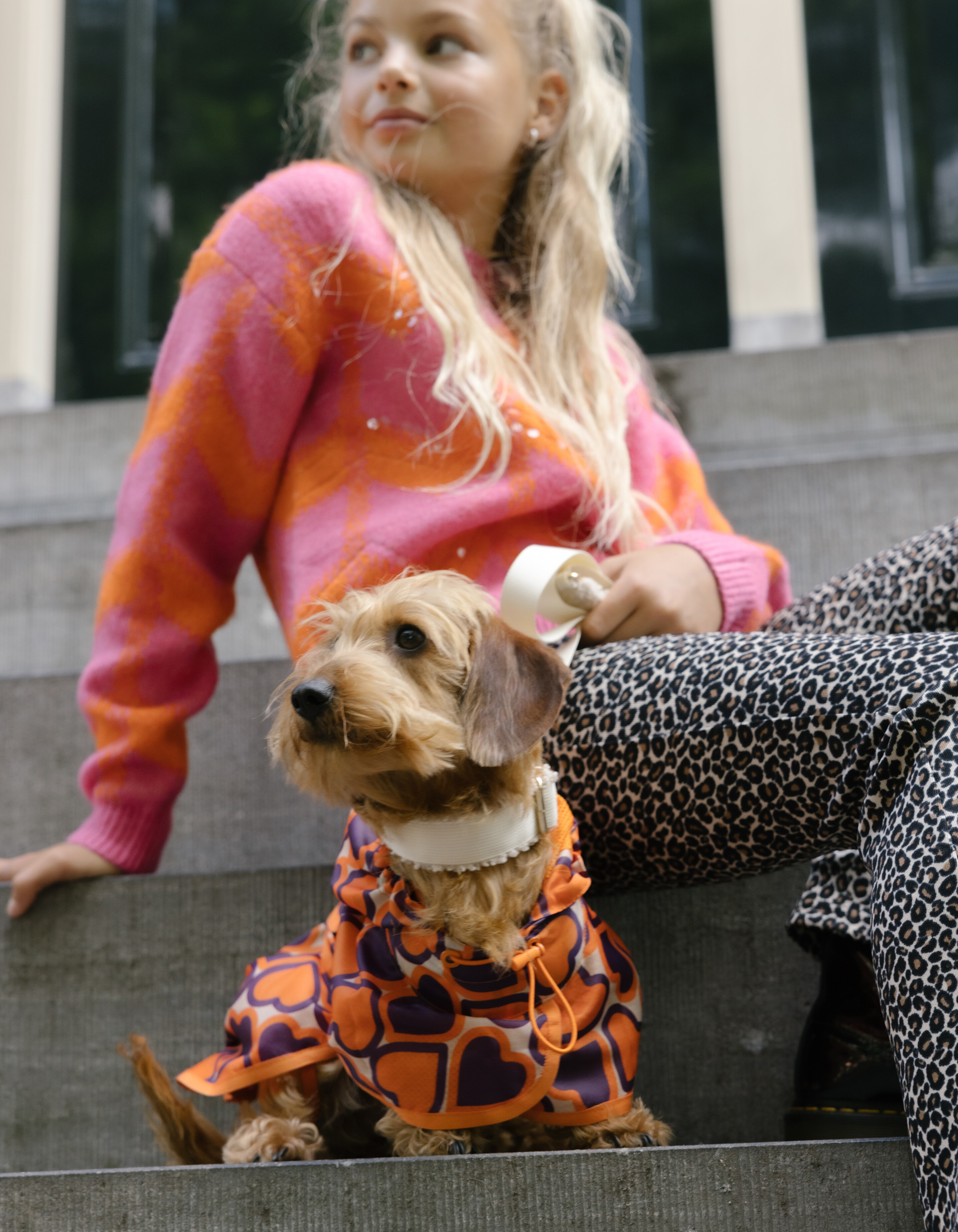 Printed Honden Regenjas Oranje SHOEBY ACCESSOIRES