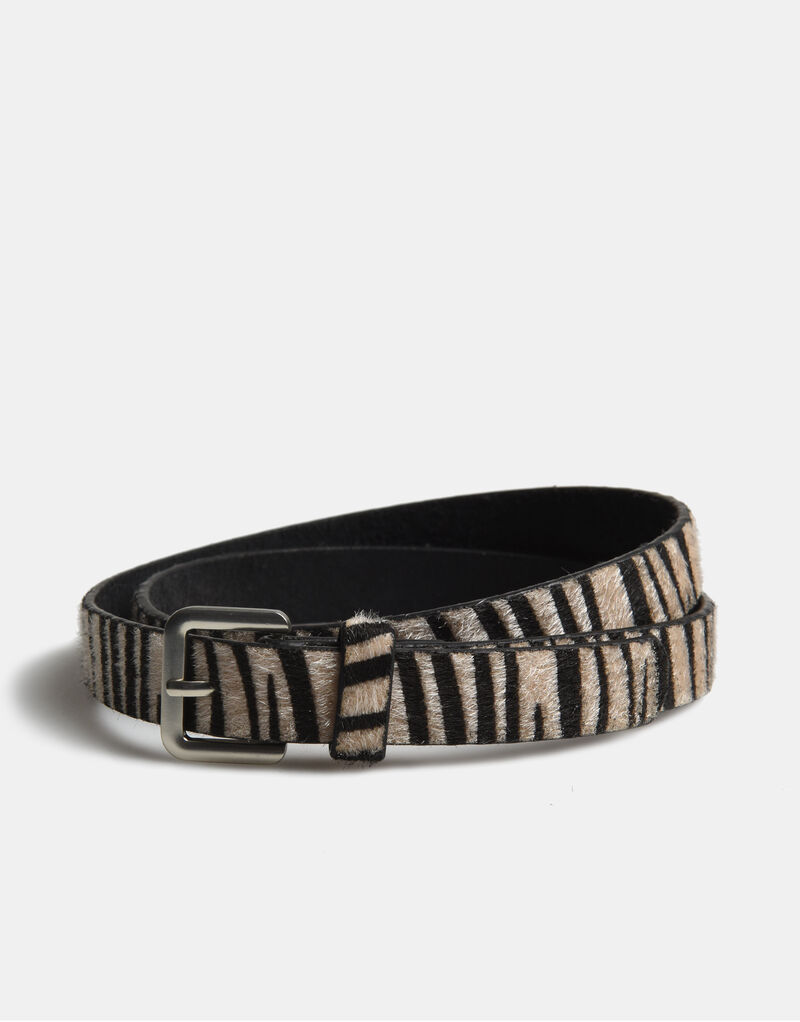 Hairy Zebra Riem