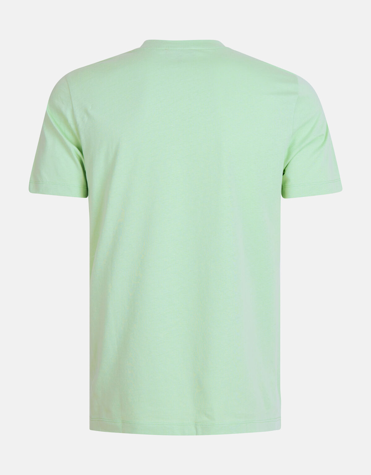Artwork T-shirt Lichtgroen SHOEBY MEN