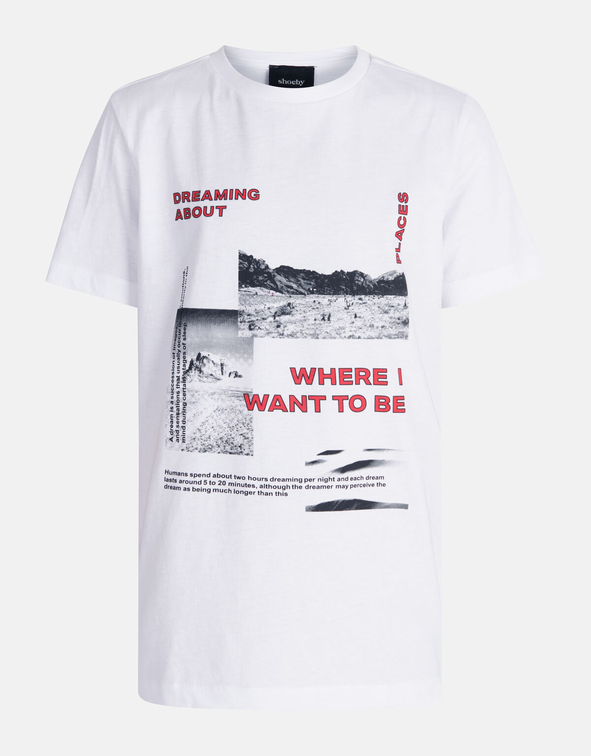 Artwork T-shirt Wit SHOEBY BOYS