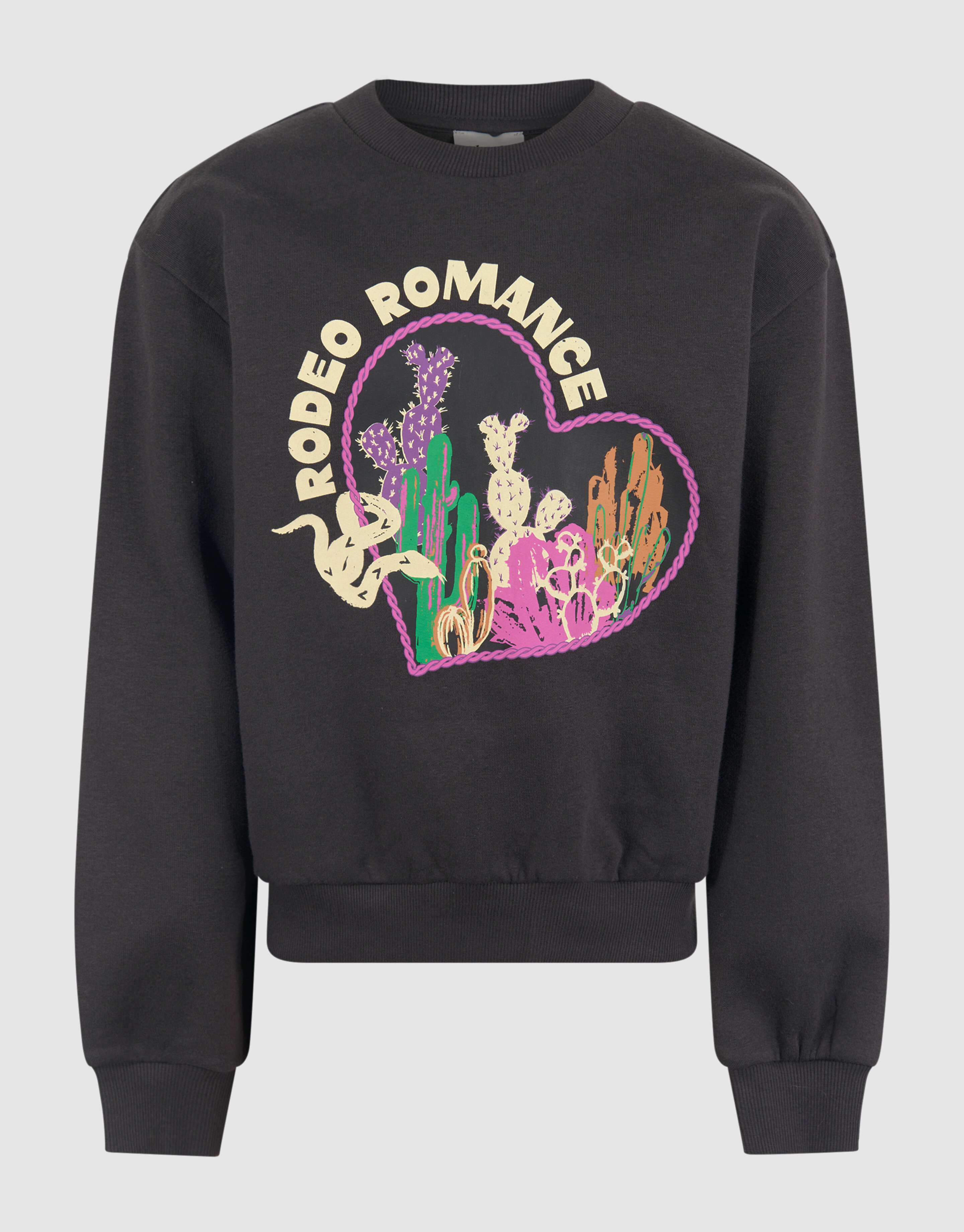 Artwork Sweater Donkergrijs SHOEBY GIRLS