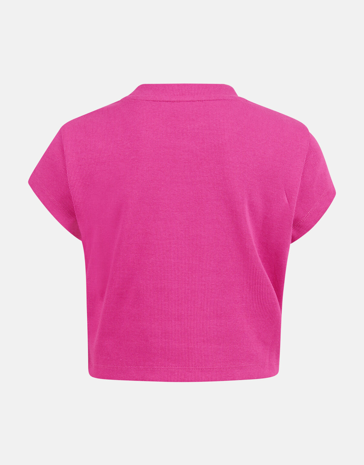 Ribbel Crop top Roze SHOEBY GIRLS