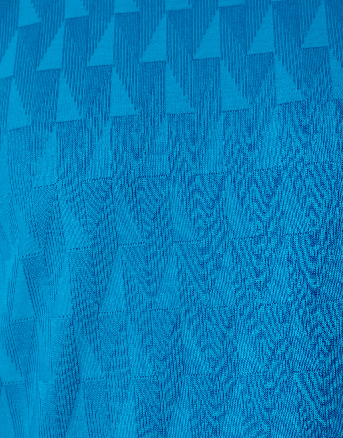 Jacquard T-shirt Blauw SHOEBY MEN