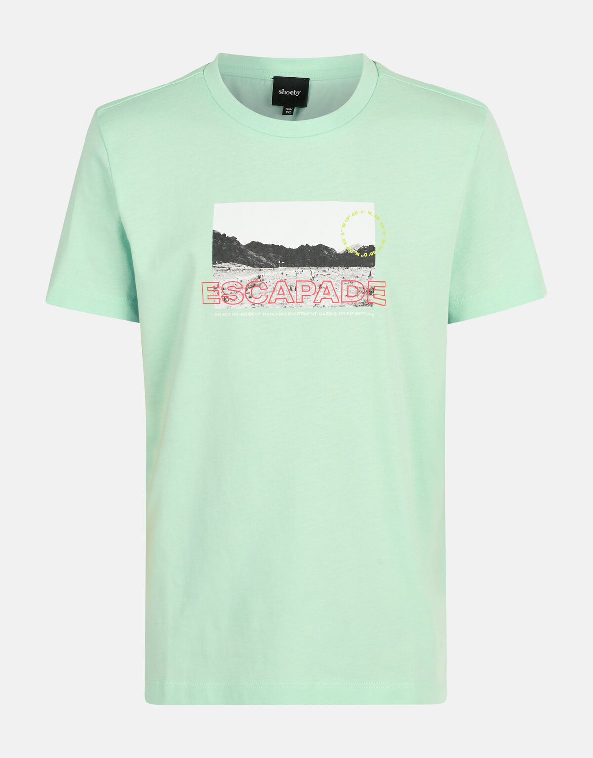 Artwork T-shirt Lichtgroen SHOEBY BOYS