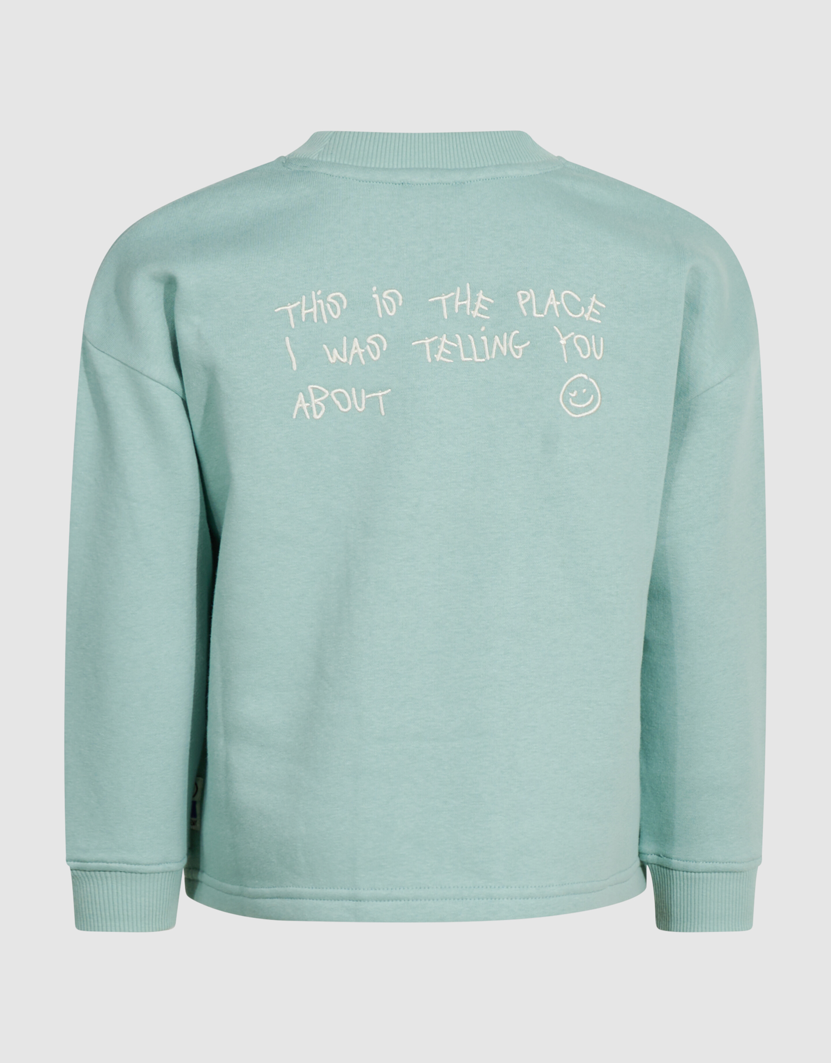 Oversized Artwork Sweater Lichtgroen SHOEBY BOYS