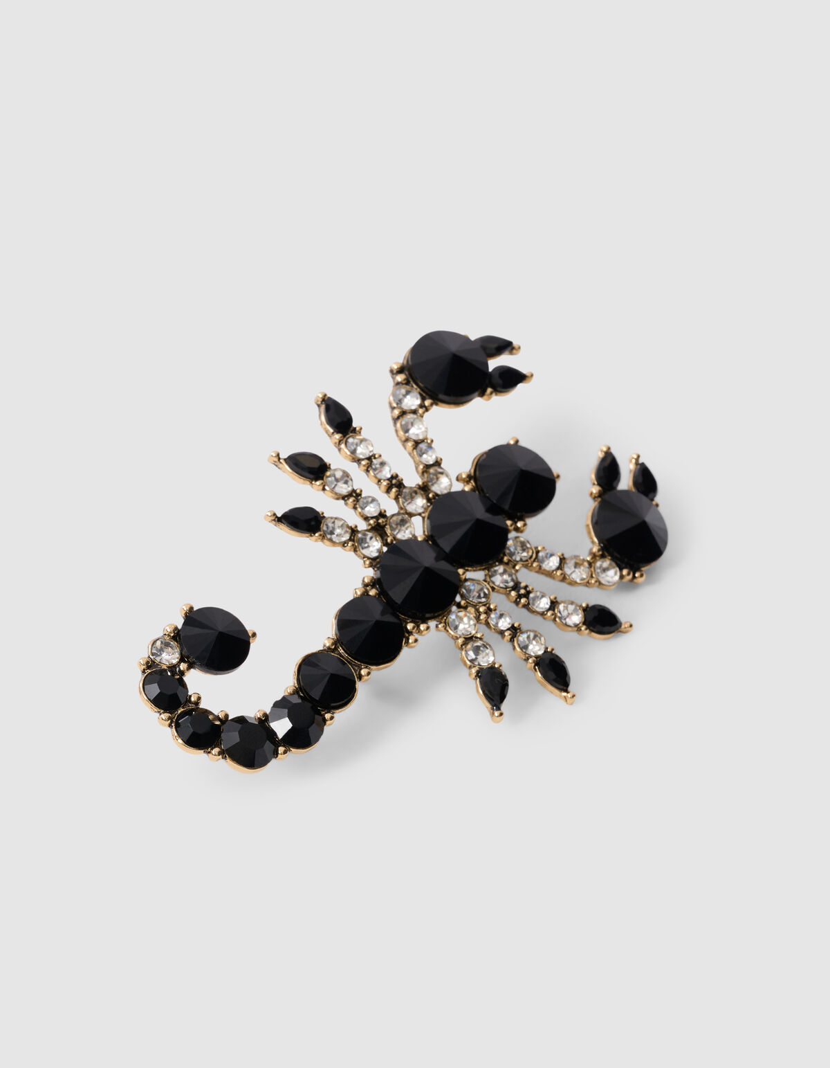 Schorpioen Broche Zwart By Fred SHOEBY ACCESSOIRES