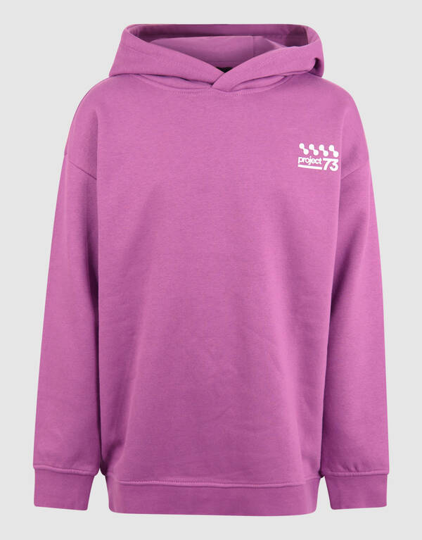 Basis Tekst Hoodie Paars SHOEBY BOYS