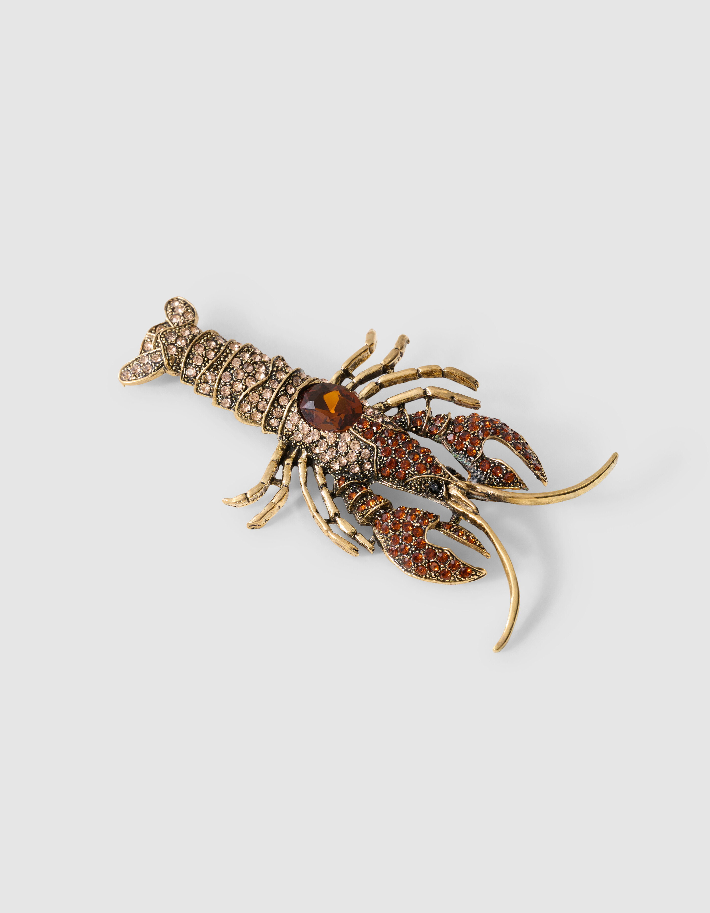 Lobster Strass Broche Bruin SHOEBY ACCESSOIRES