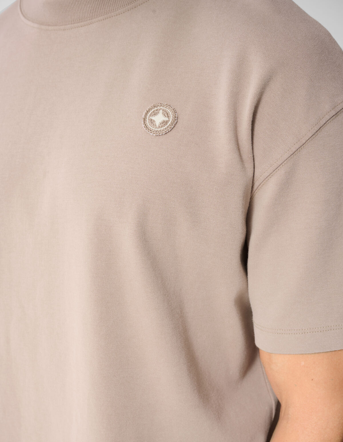 Washed Spark T-shirt Taupe SHOEBY MEN