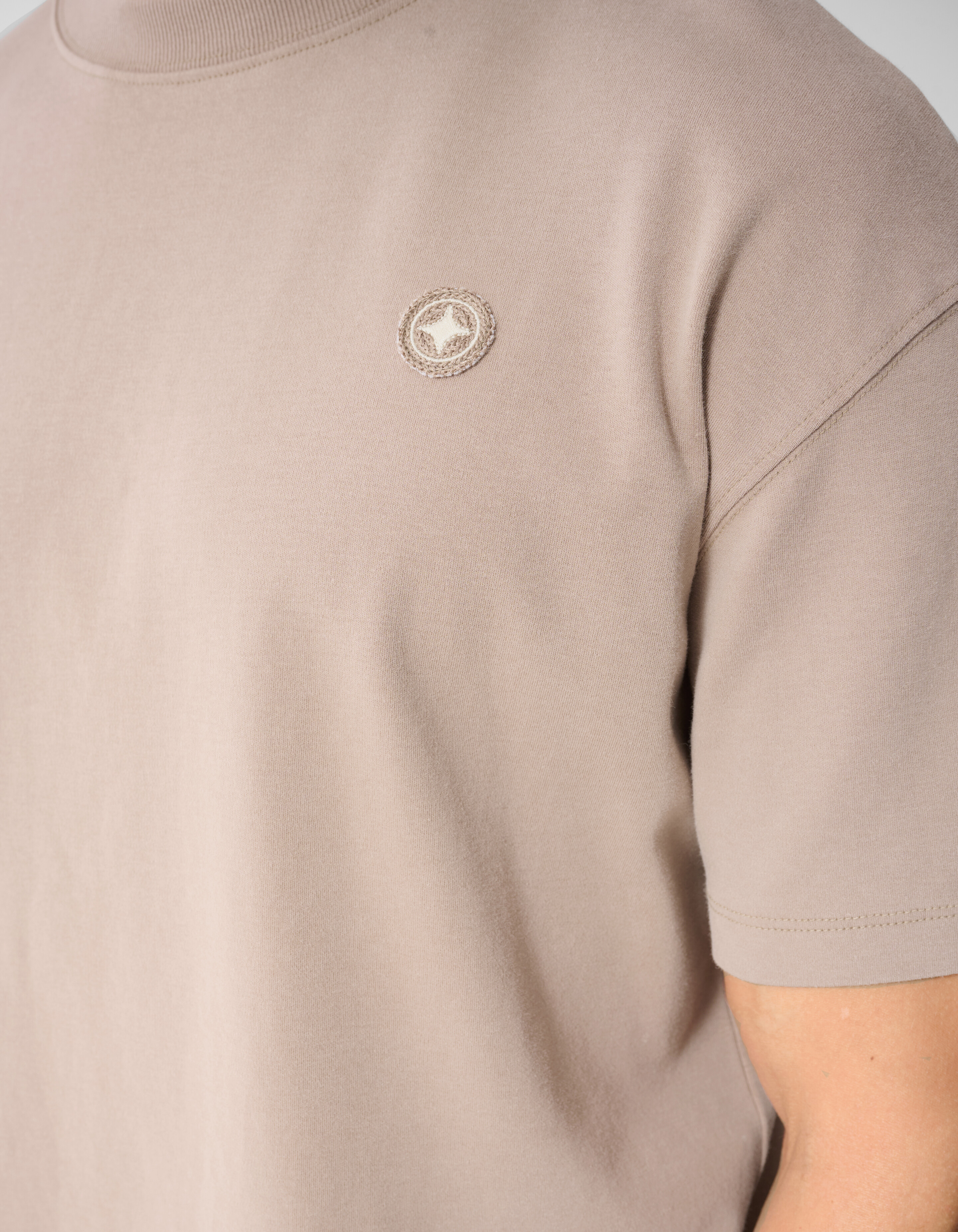 Washed Spark T-shirt Taupe SHOEBY MEN