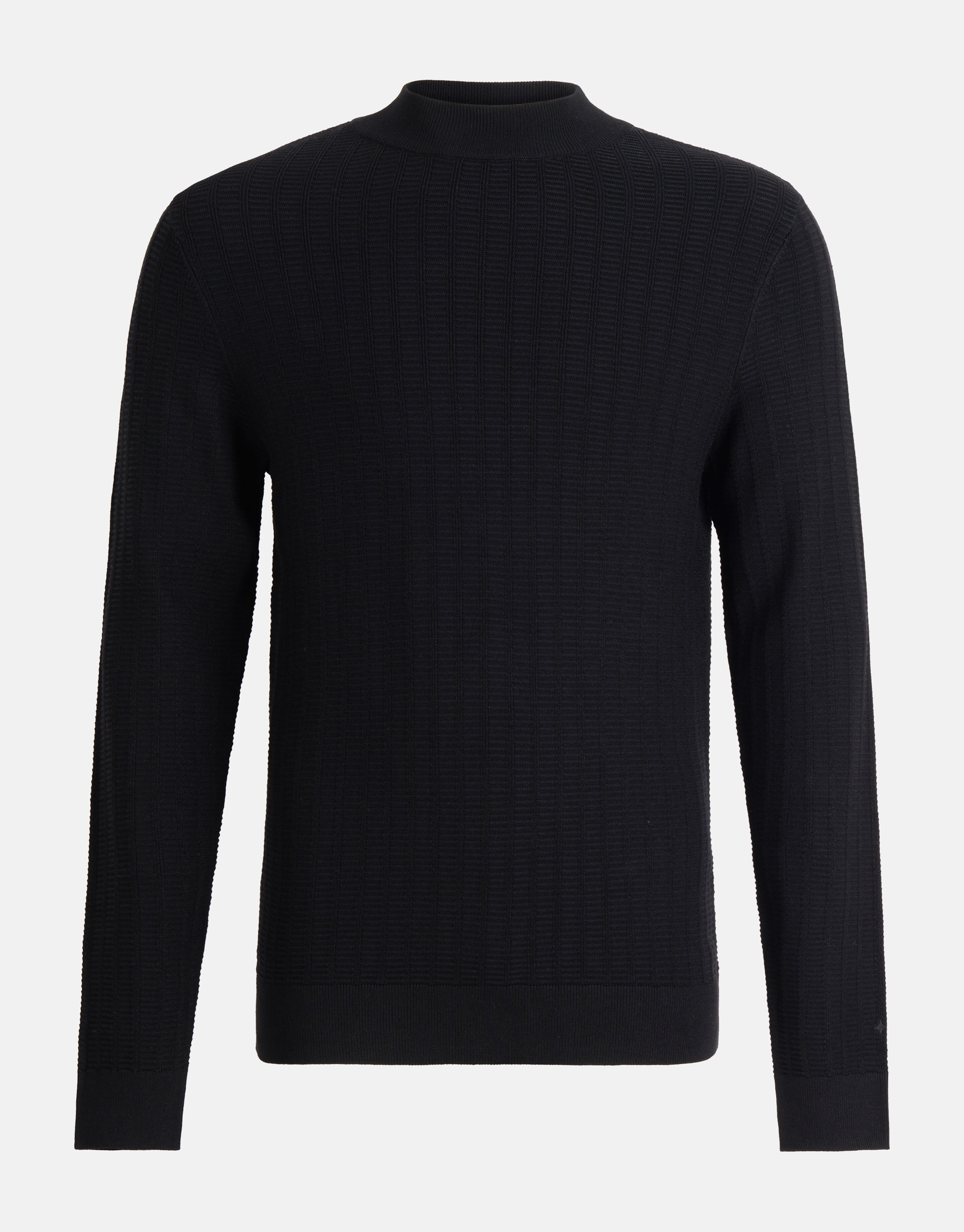 Structuur Trui Zwart SHOEBY MEN