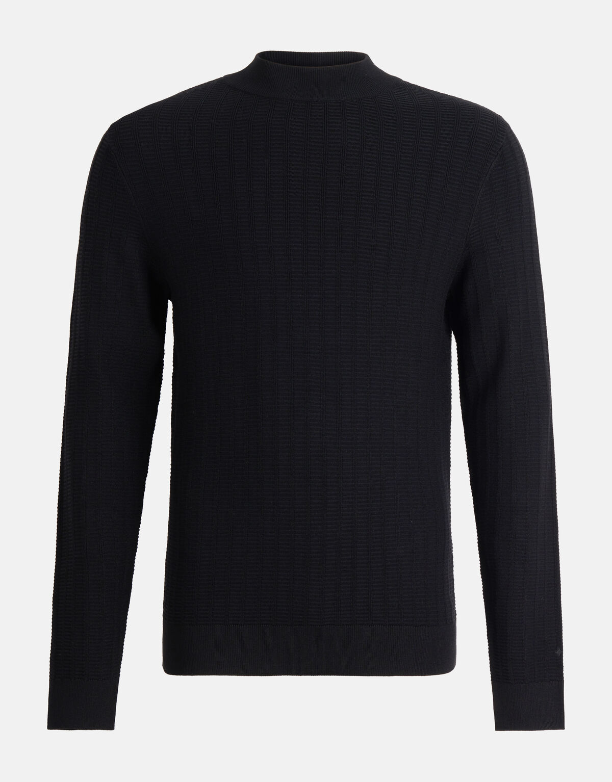 Structuur Trui Zwart SHOEBY MEN