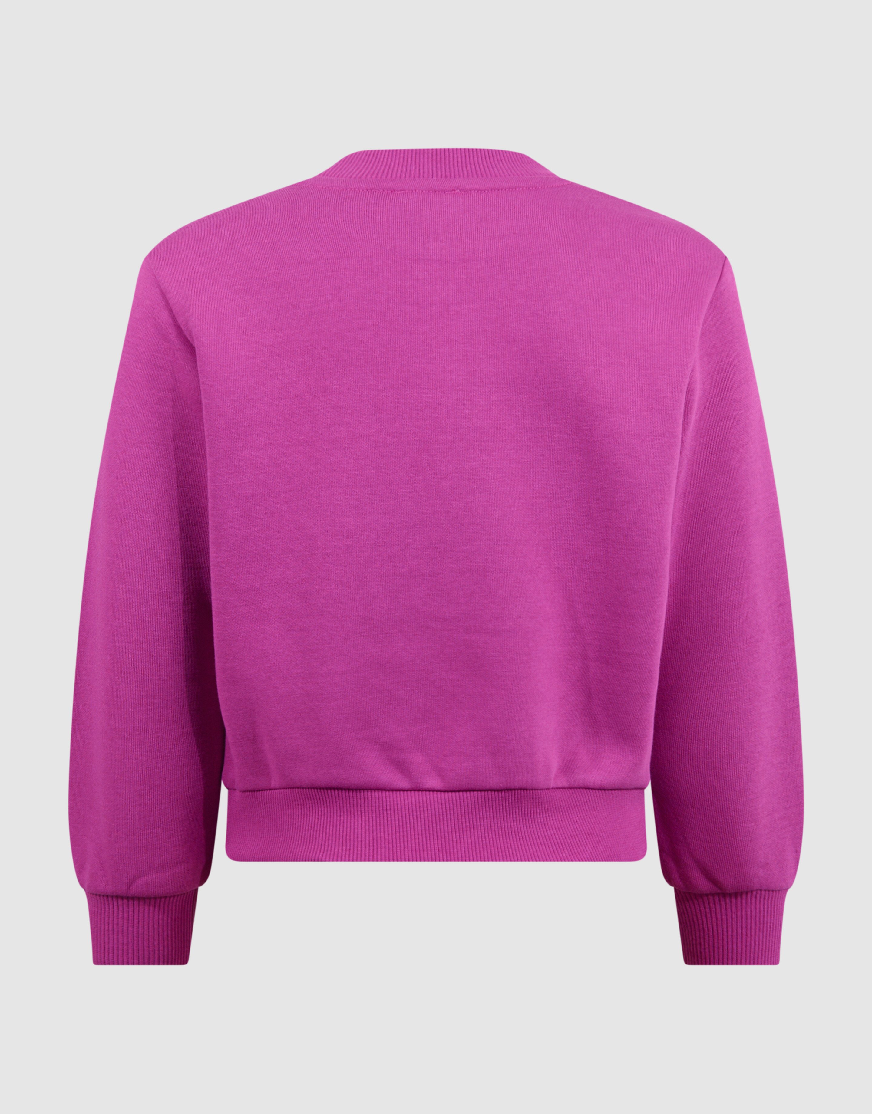 Two Way Sequin Sweater Roze SHOEBY GIRLS