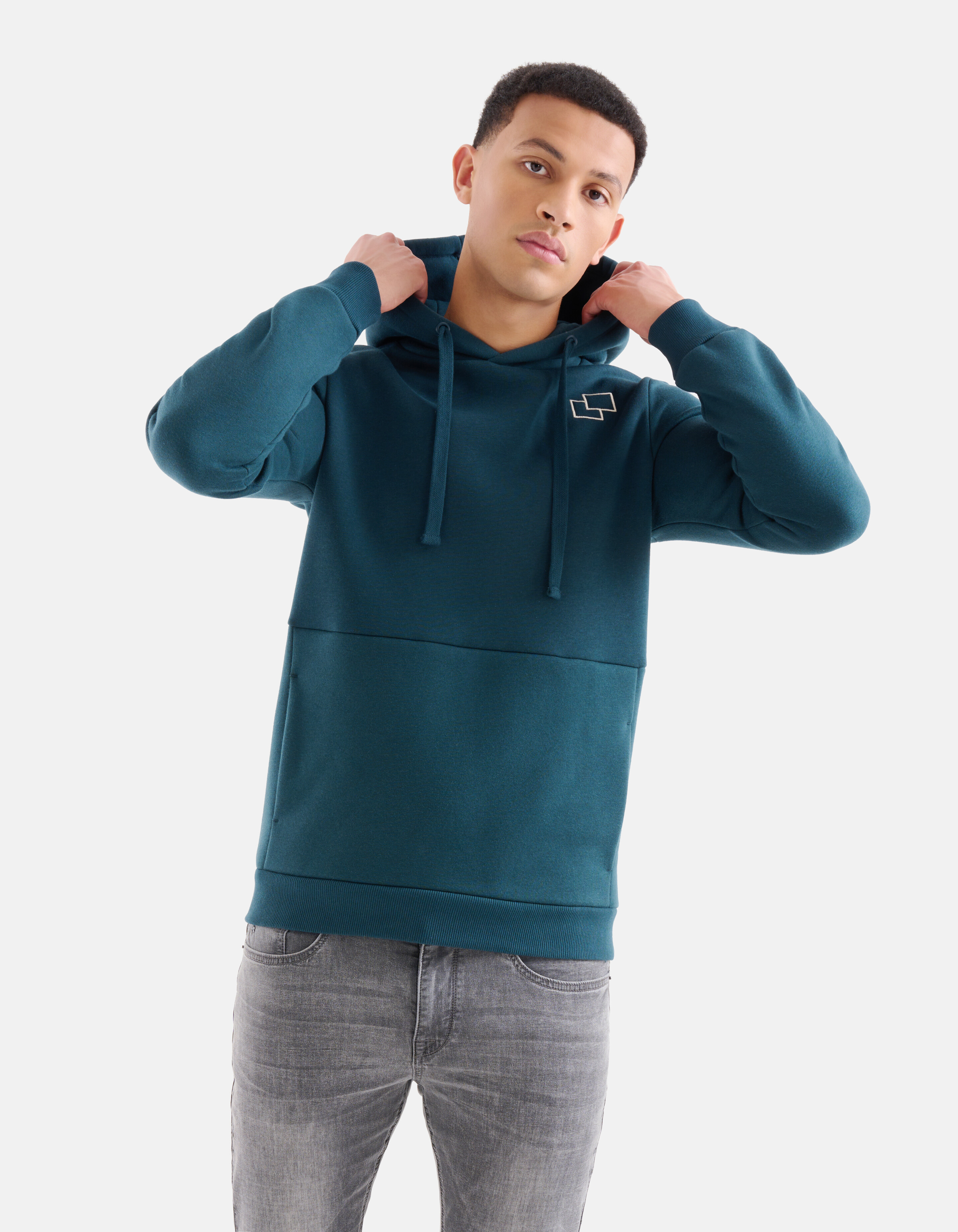 Landschap Hoodie Blauw SHOEBY MEN