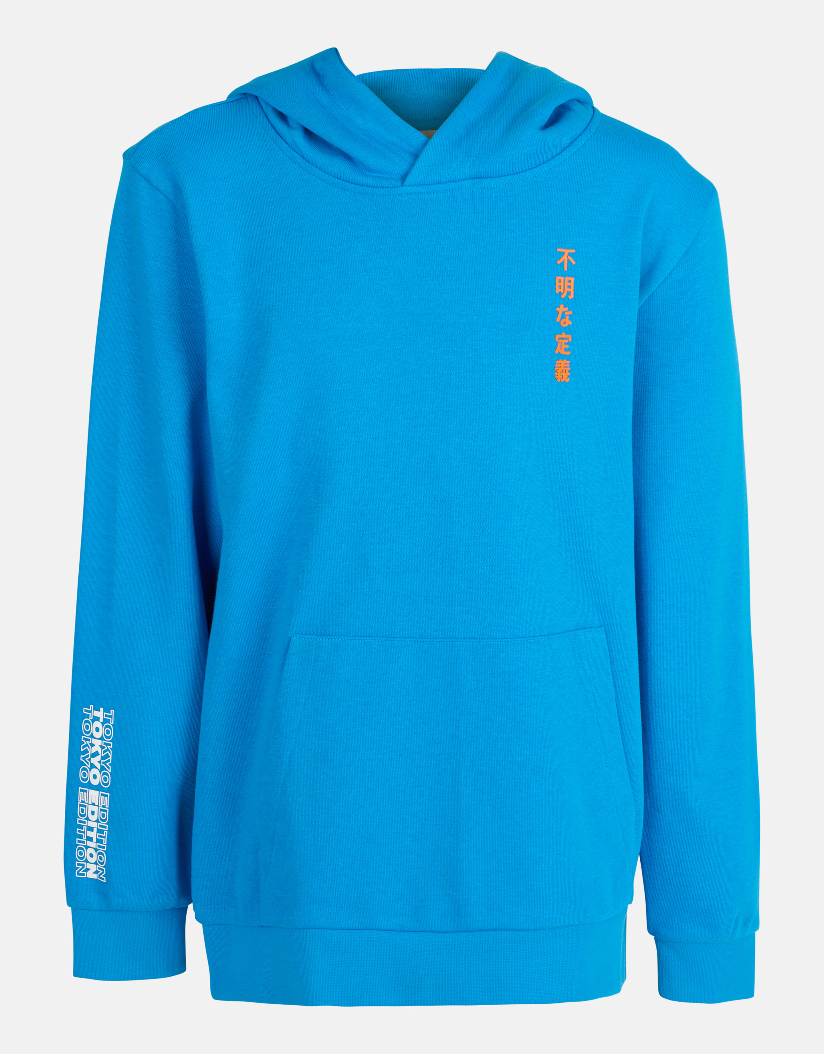 Artwork Hoodie Blauw SHOEBY BOYS