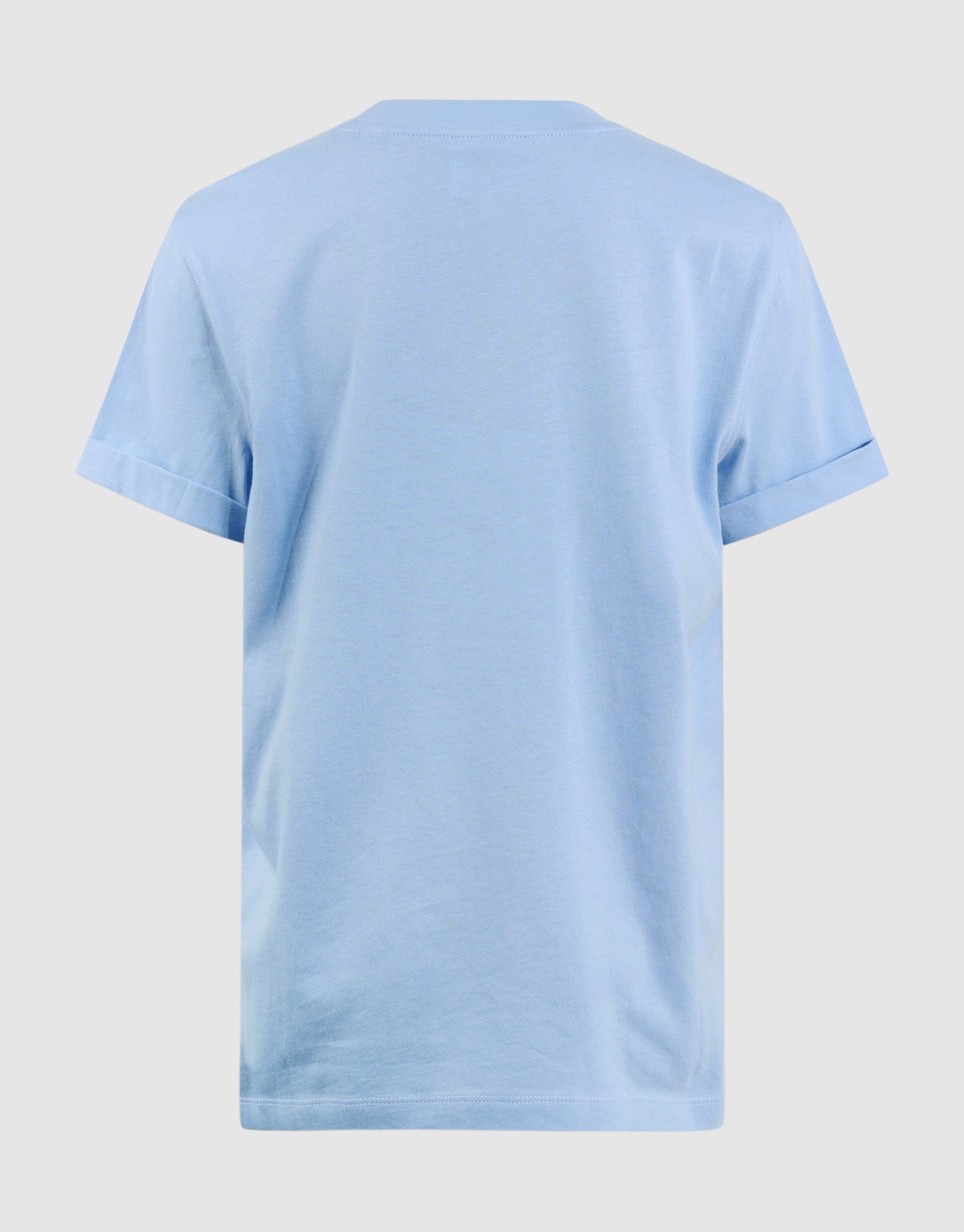 Iconic Studios Artwork T-shirt Lichtblauw SHOEBY GIRLS