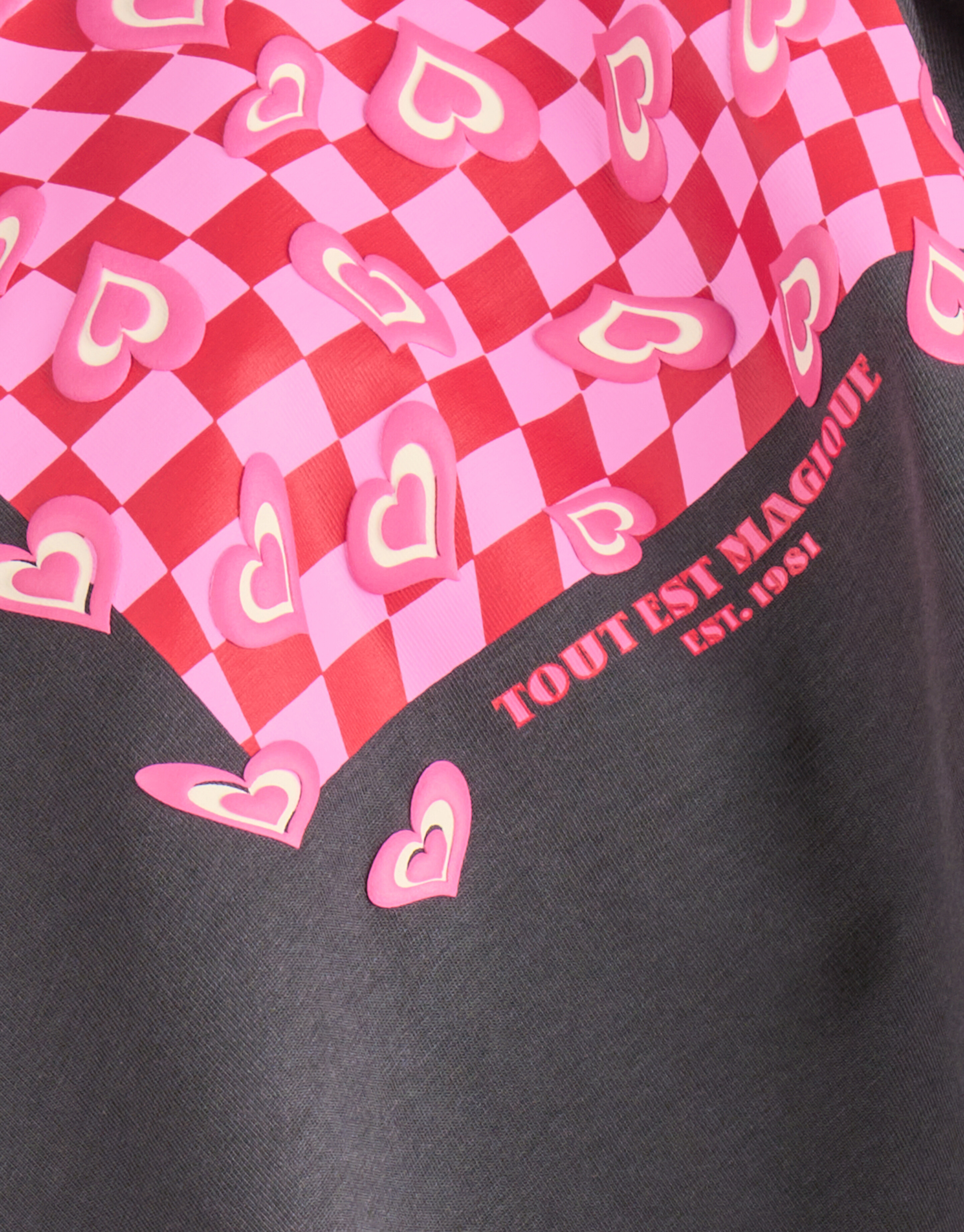 Artwork T-shirt Donkergrijs SHOEBY GIRLS