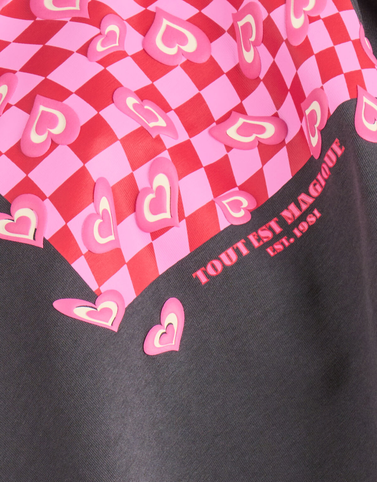 Artwork T-shirt Donkergrijs SHOEBY GIRLS
