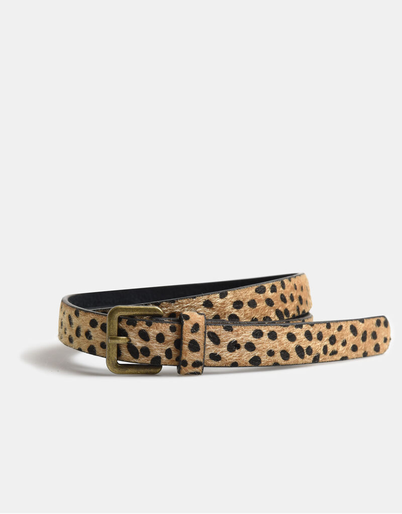Hairy Dot Riem