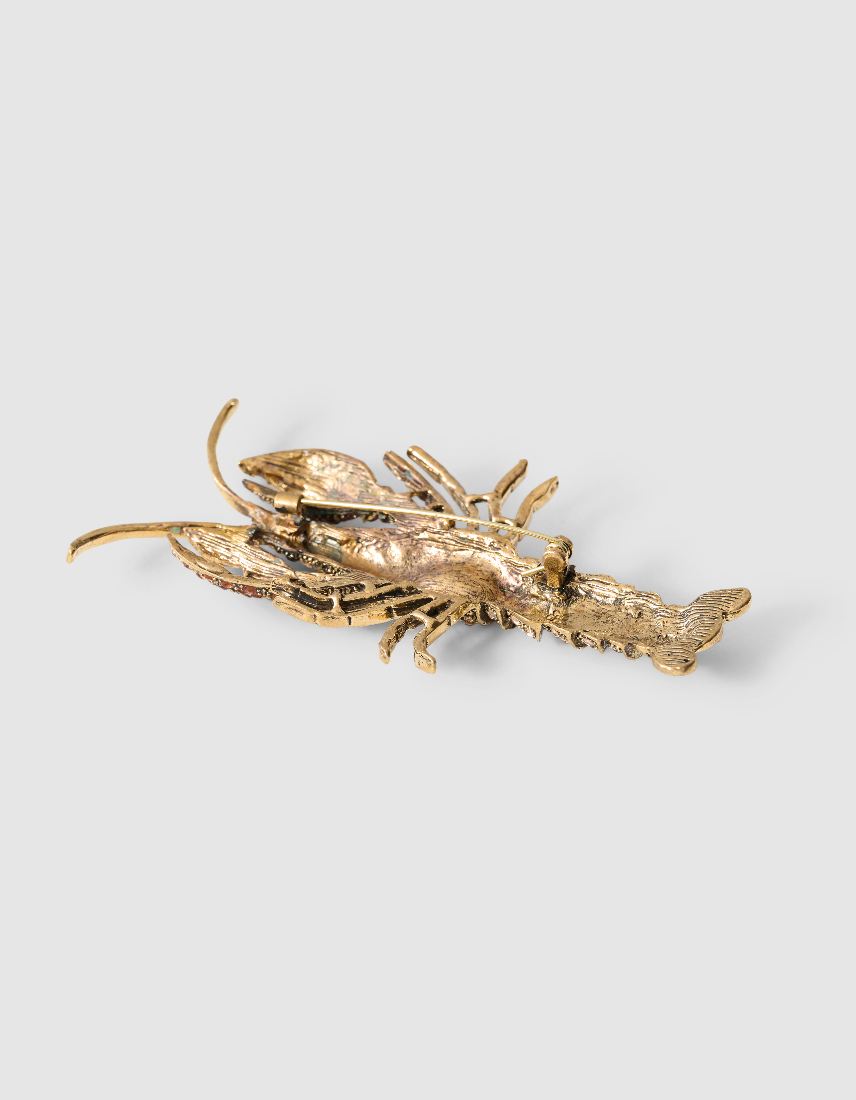 Lobster Strass Broche Bruin SHOEBY ACCESSOIRES