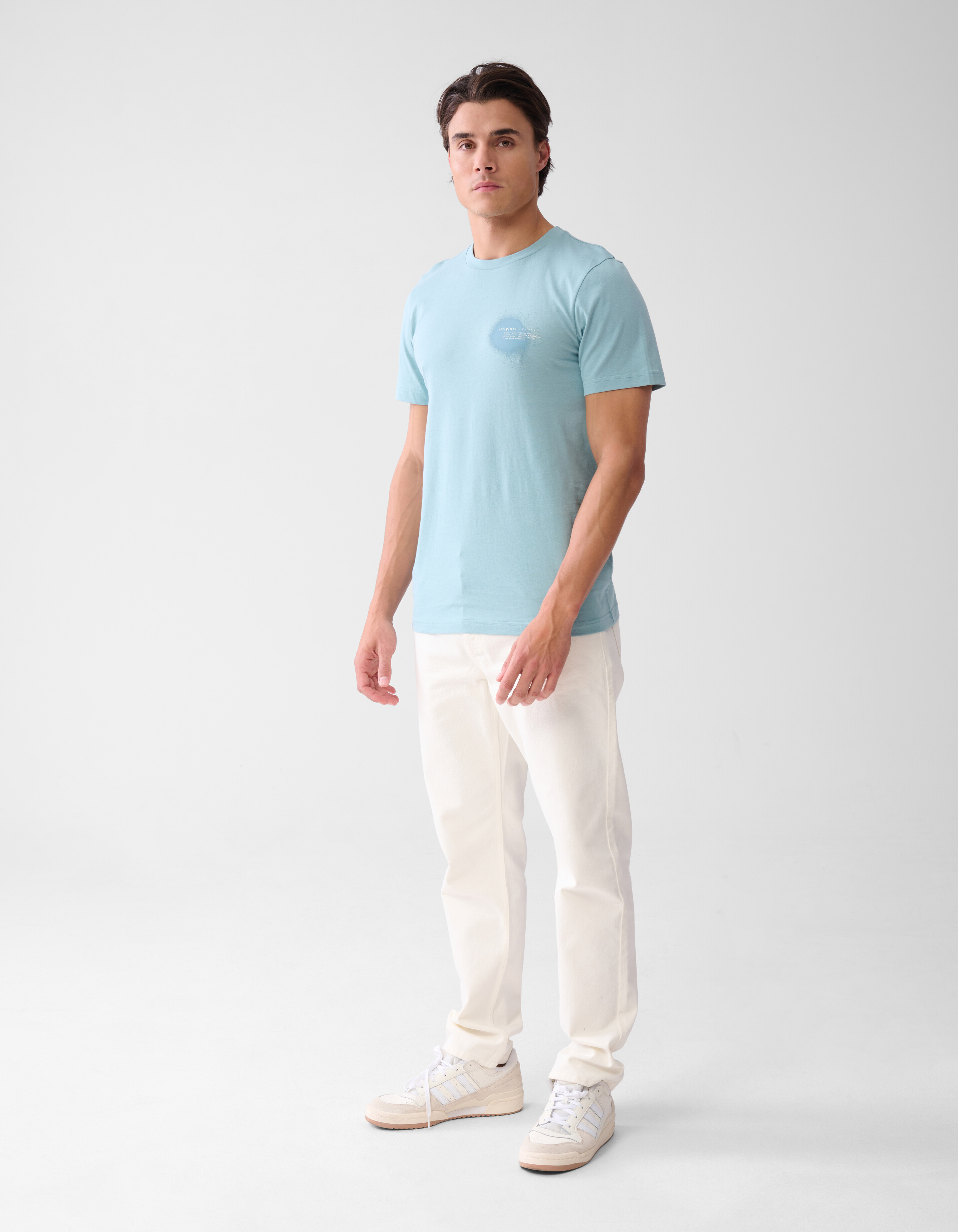 Artwork T-shirt Lichtblauw SHOEBY MEN