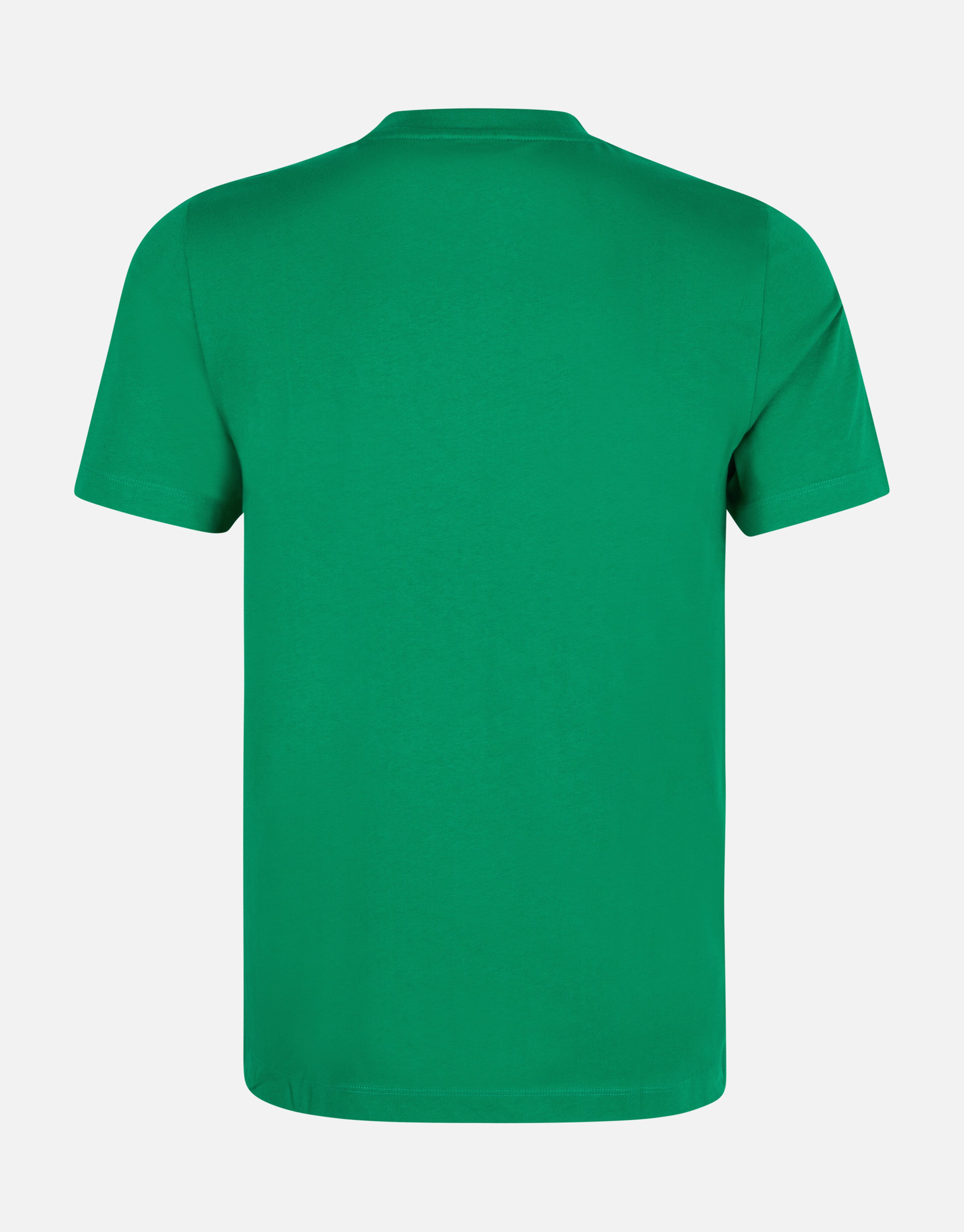 Regular Fit T-shirt Groen SHOEBY MEN