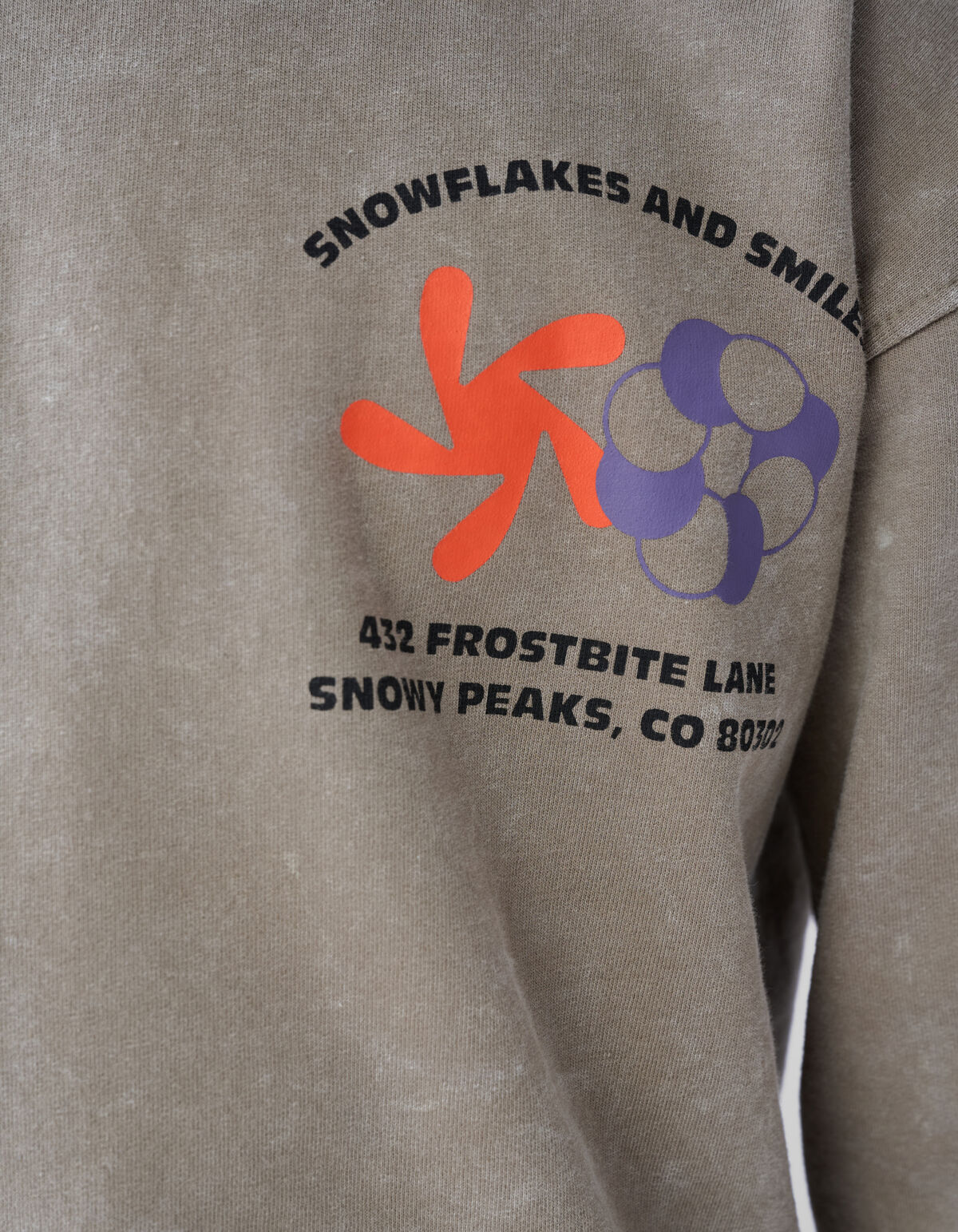 Washed Artwork Sweater Taupe SHOEBY BOYS