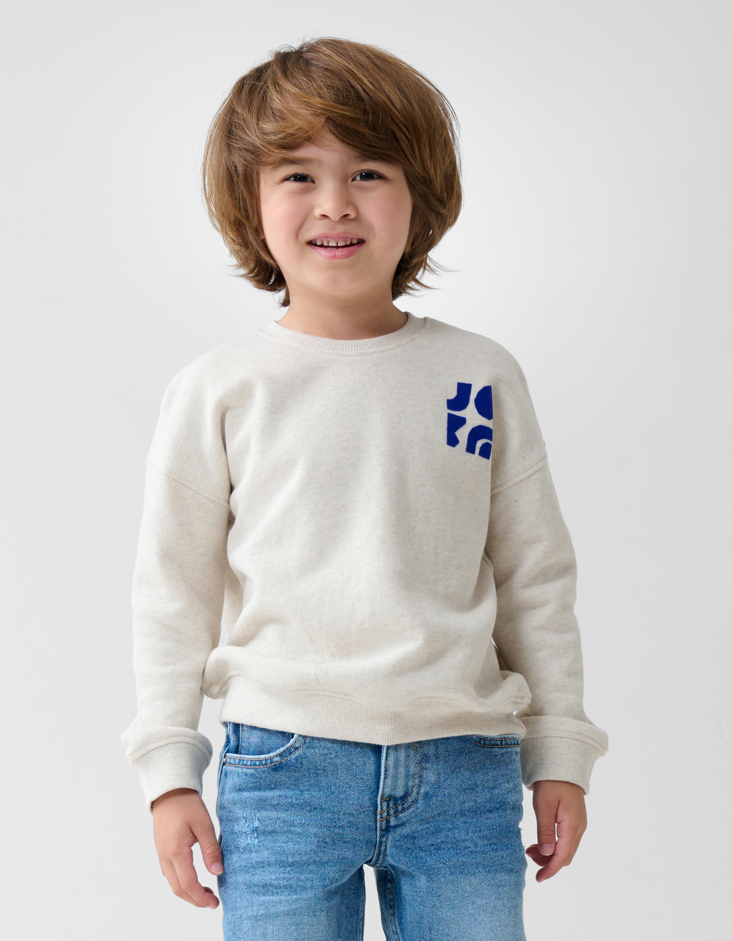 Artwork Sweater Lichtgrijs SHOEBY BOYS