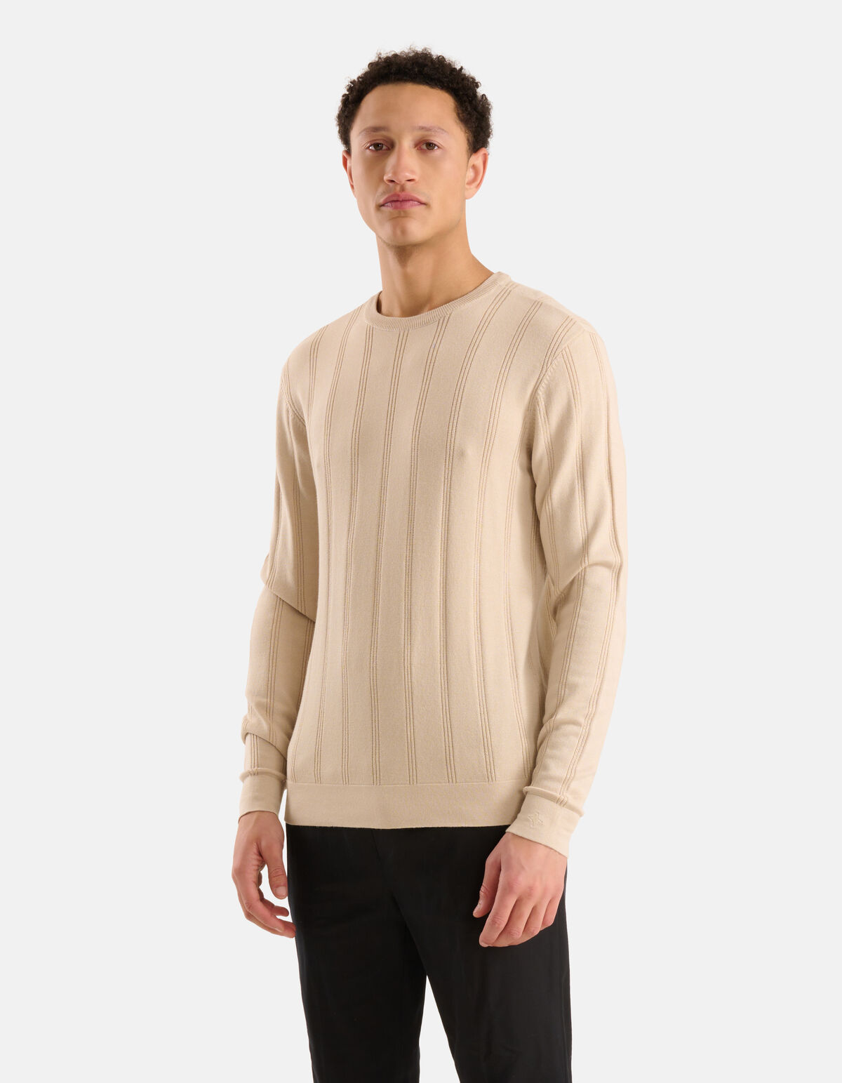 Gestreepte Crewneck Trui Beige SHOEBY MEN
