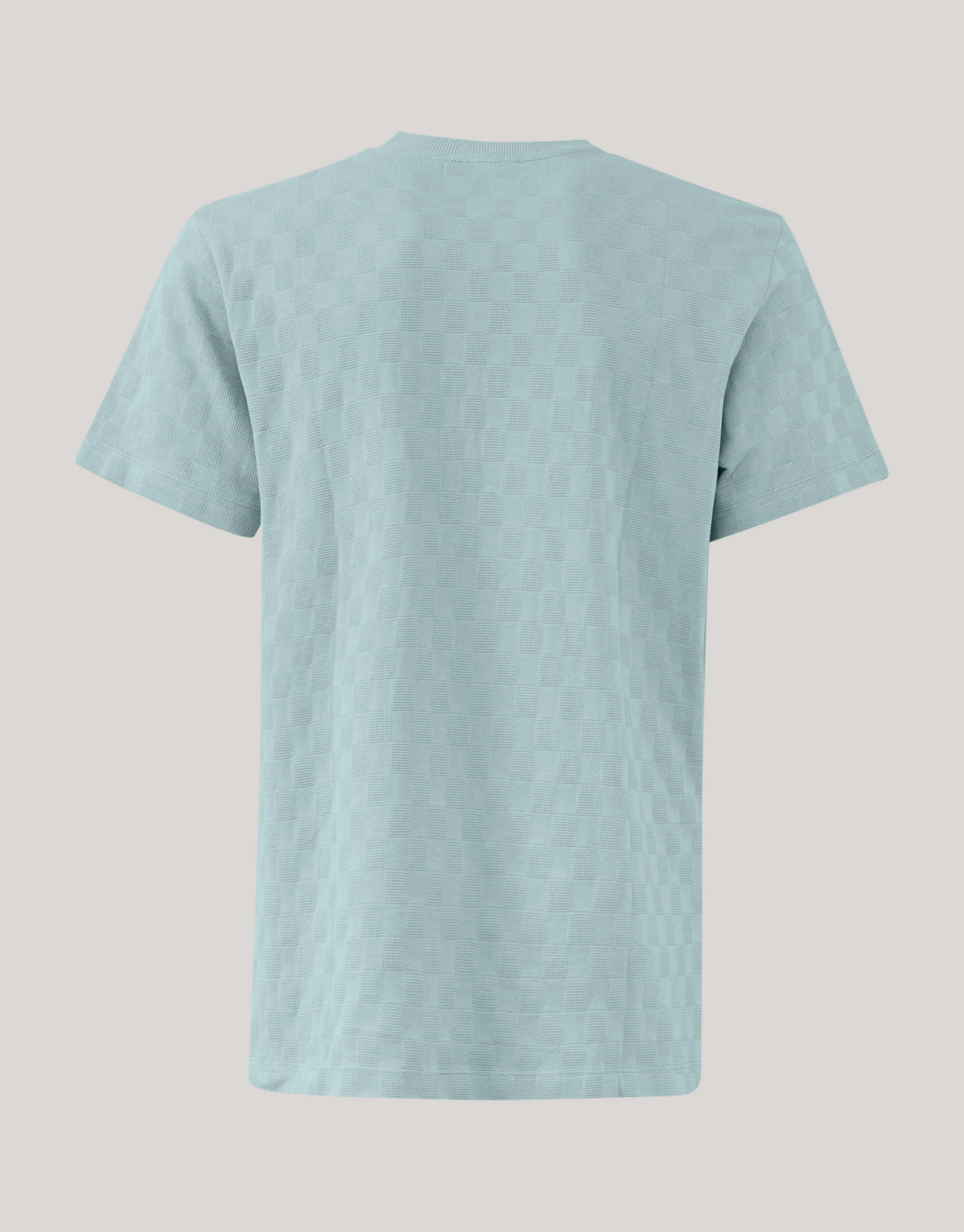 Block Structuur T-shirt Lichtgrijs SHOEBY MEN