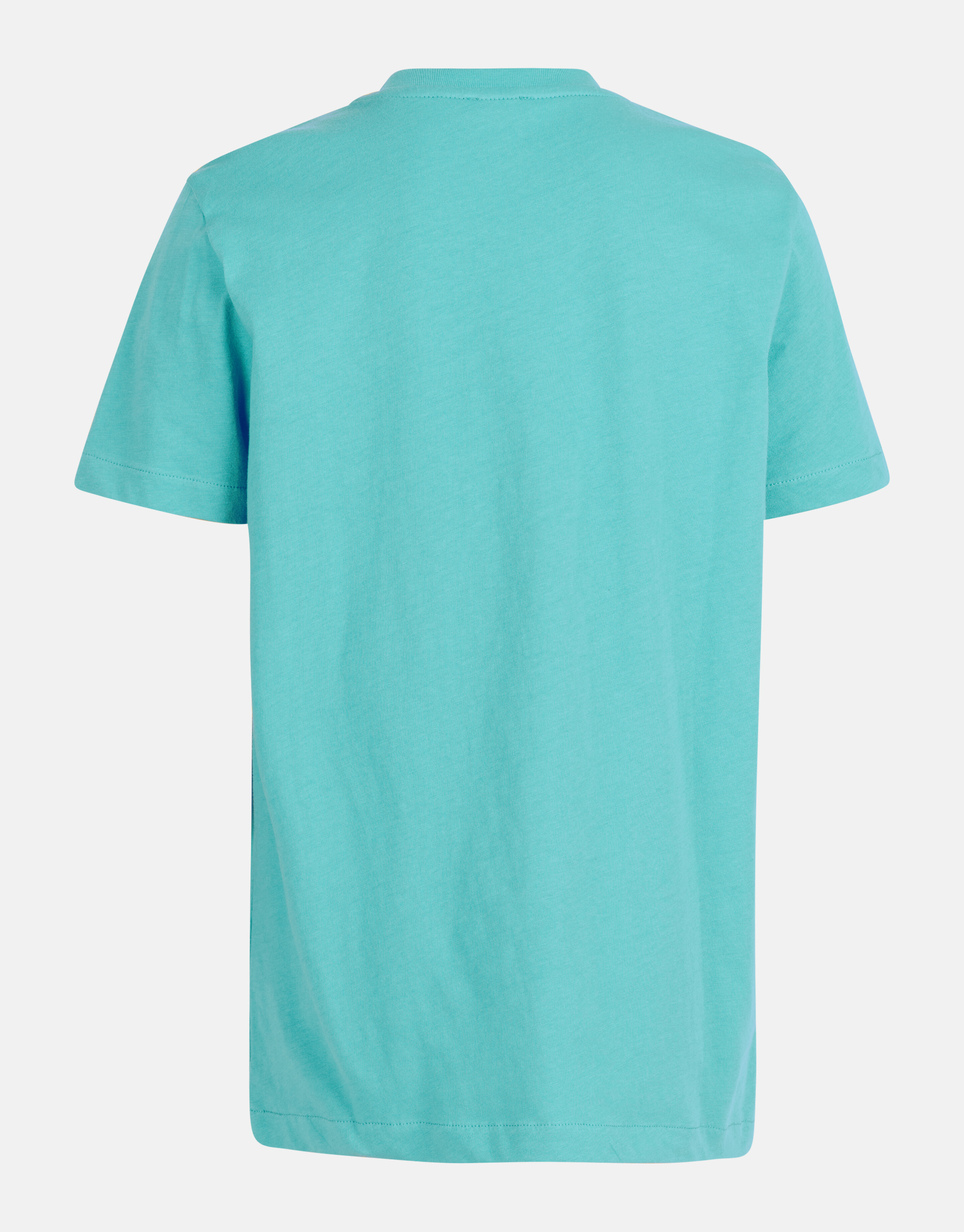 Print T-shirt Blauw SHOEBY BOYS