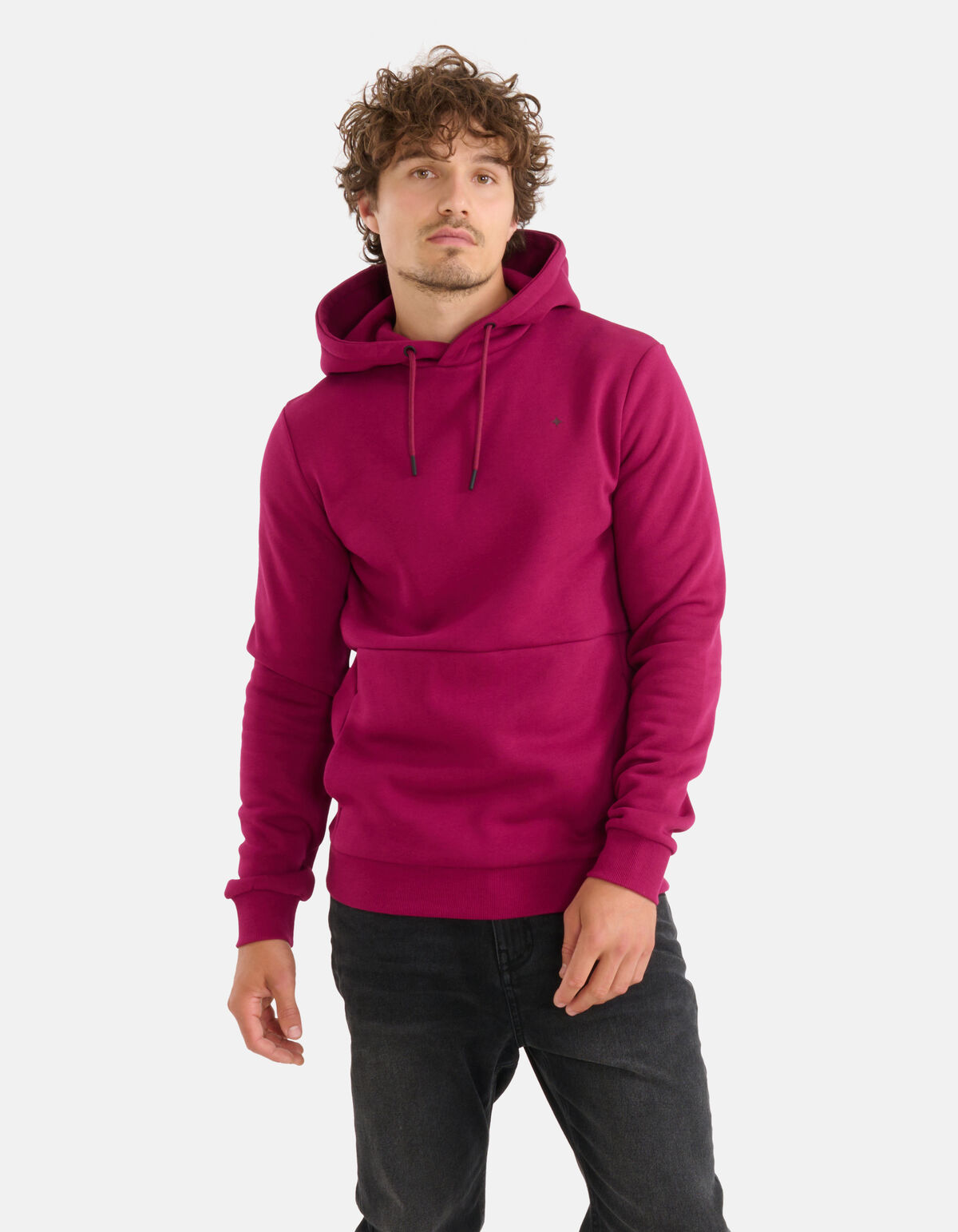 Grafische Hoodie Bordeaux SHOEBY MEN