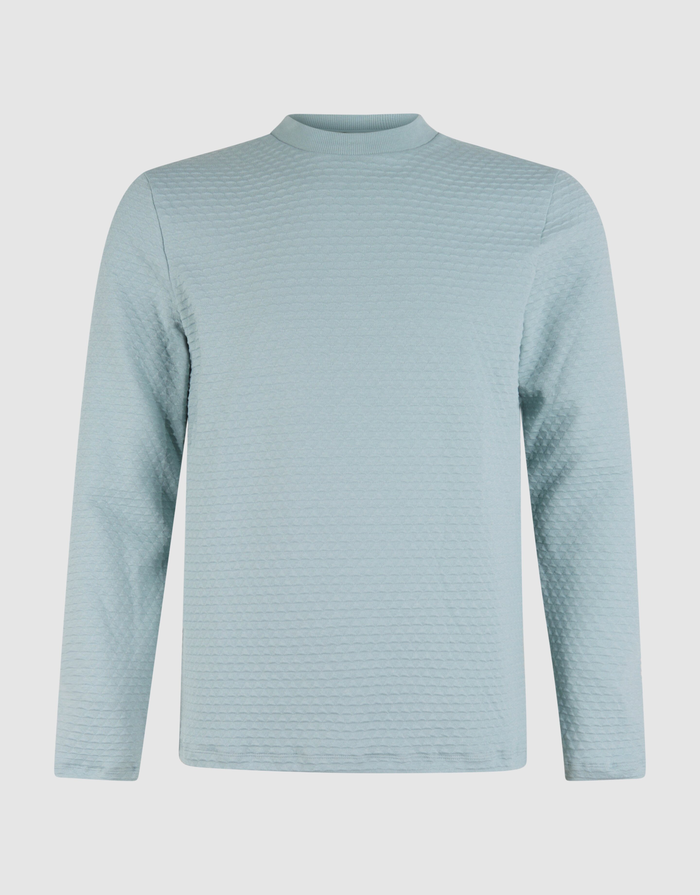 Structuur Longsleeve Lichtgroen SHOEBY MEN
