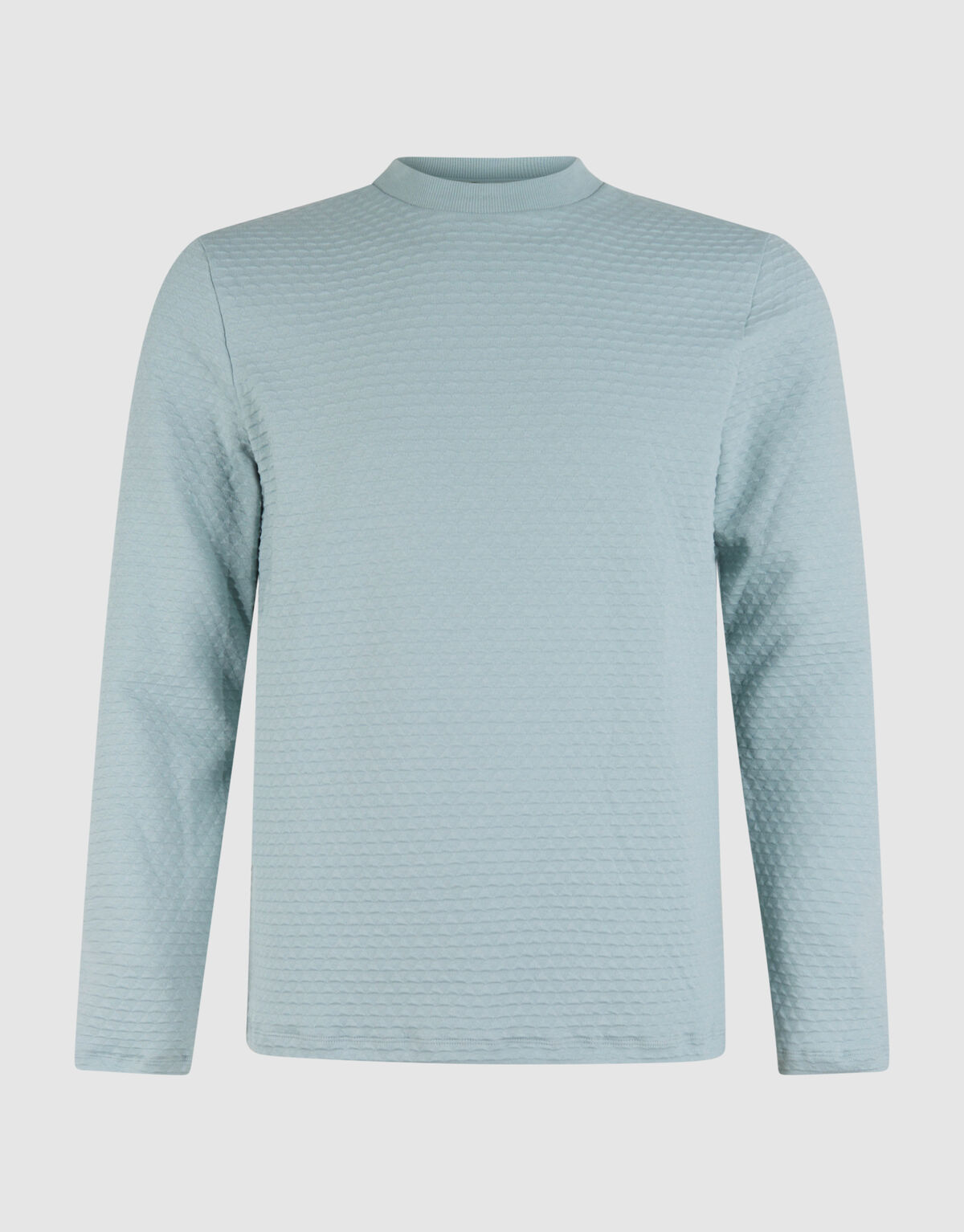 Structuur Longsleeve Lichtgroen SHOEBY MEN
