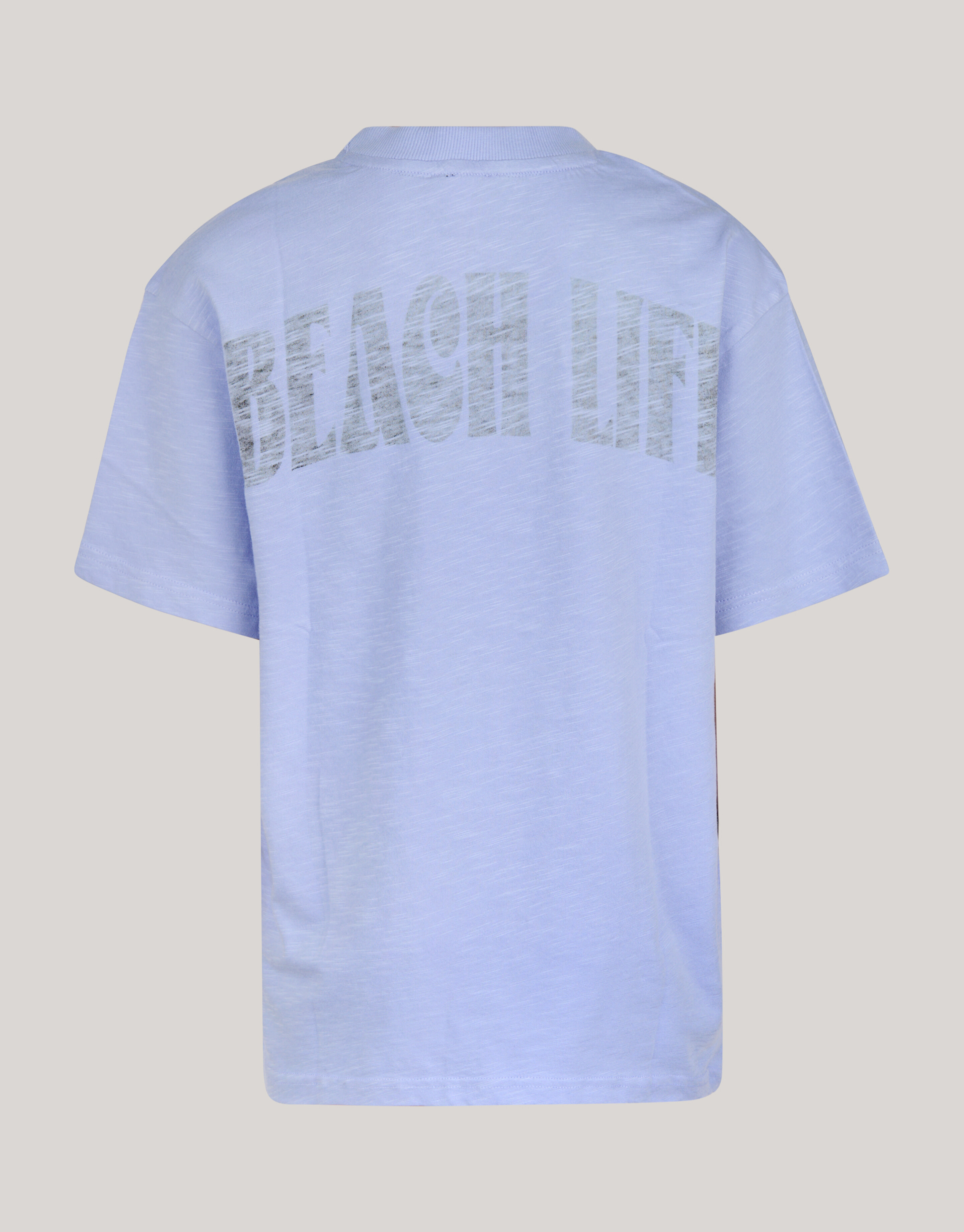 Artwork T-shirt Lichtpaars SHOEBY BOYS
