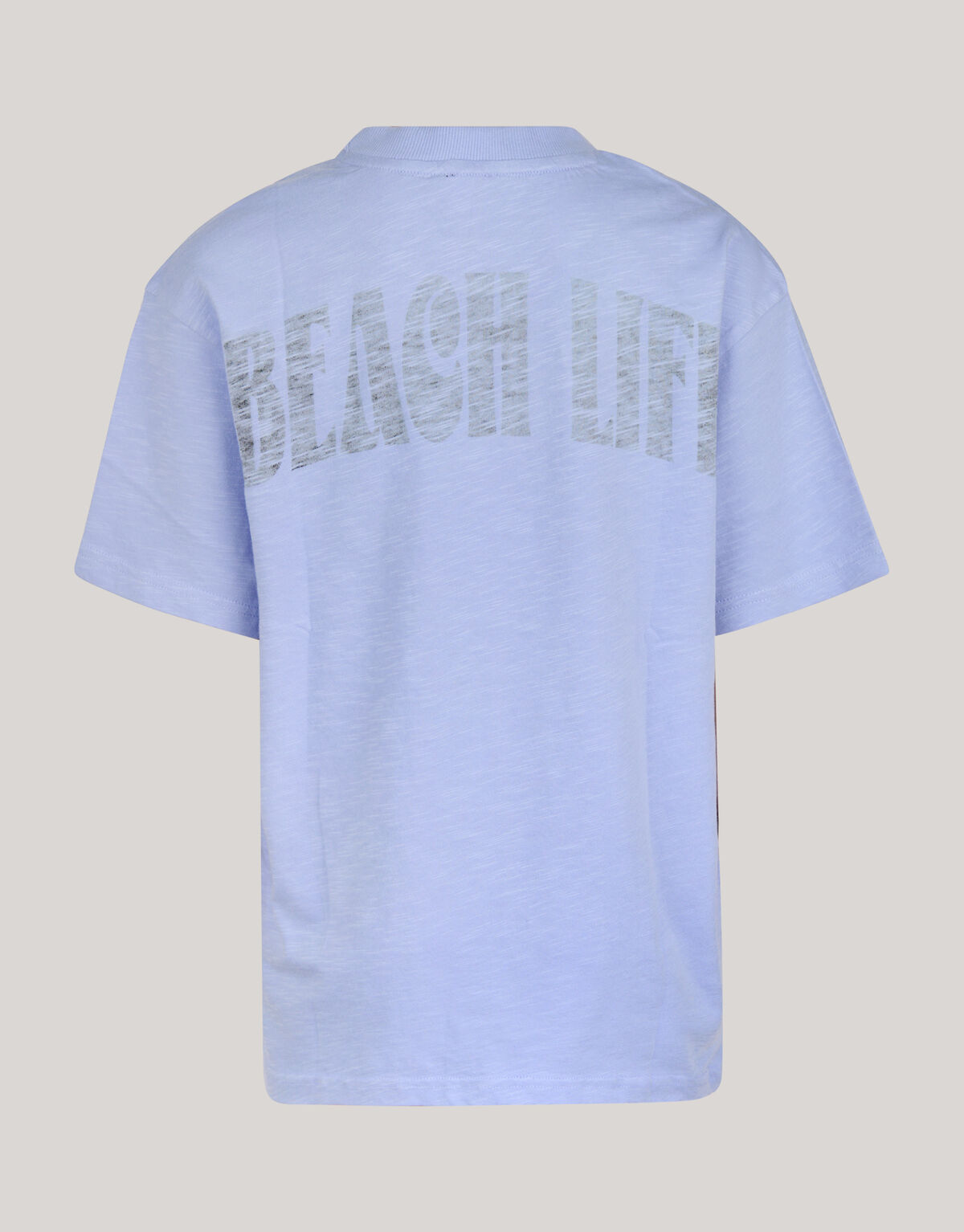 Artwork T-shirt Lichtpaars SHOEBY BOYS