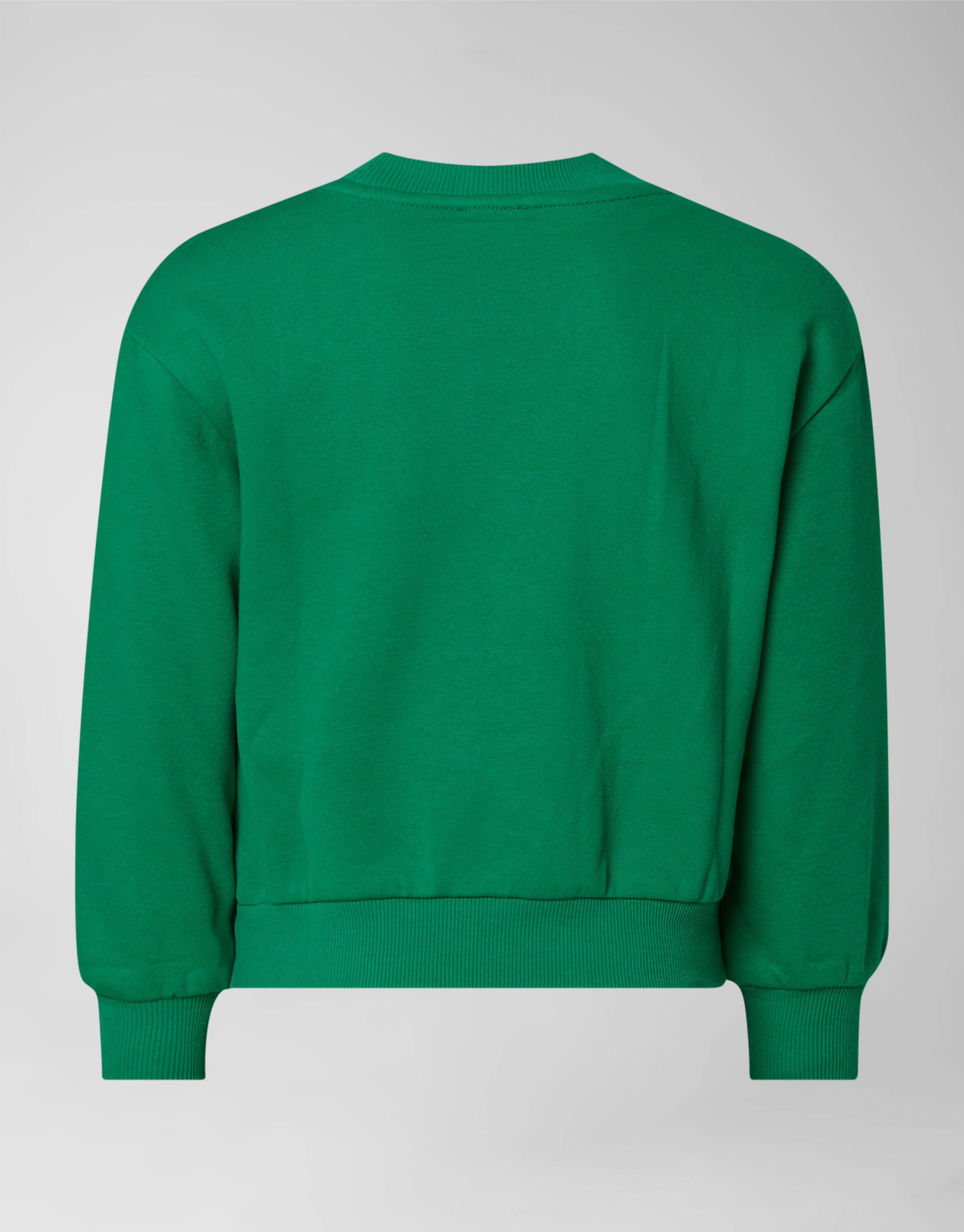Artwork Sweater Groen SHOEBY GIRLS