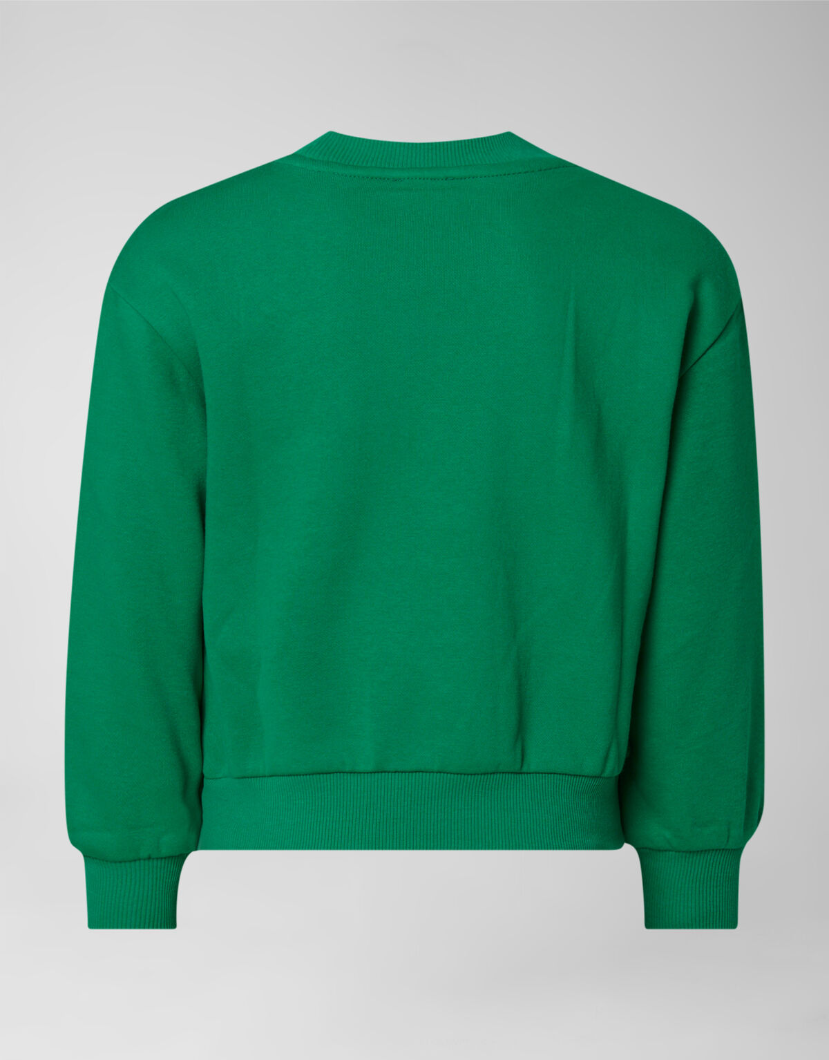 Artwork Sweater Groen SHOEBY GIRLS